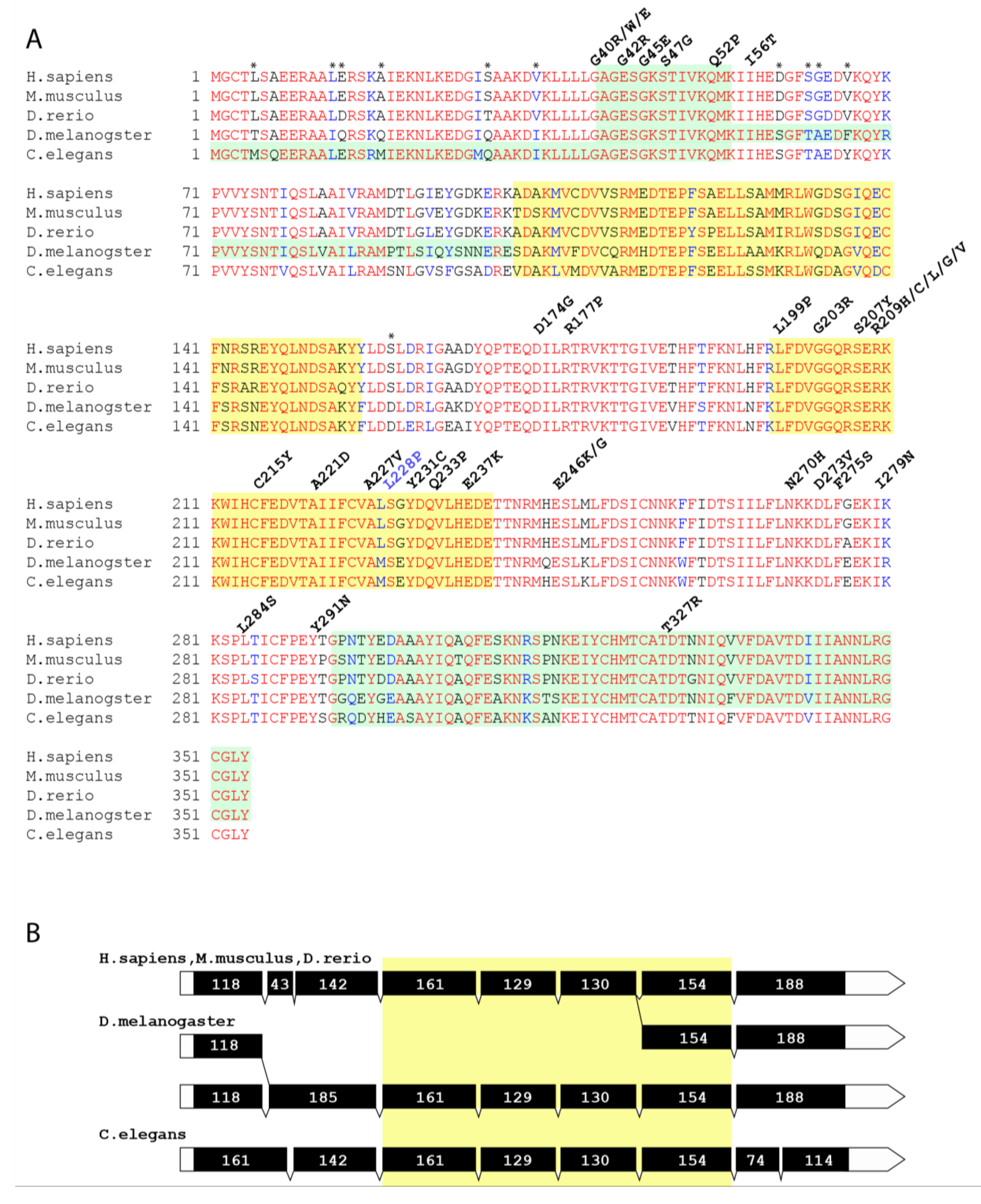 Biomedicines 08 00395 g001 Biomedicines 08 00395 g001