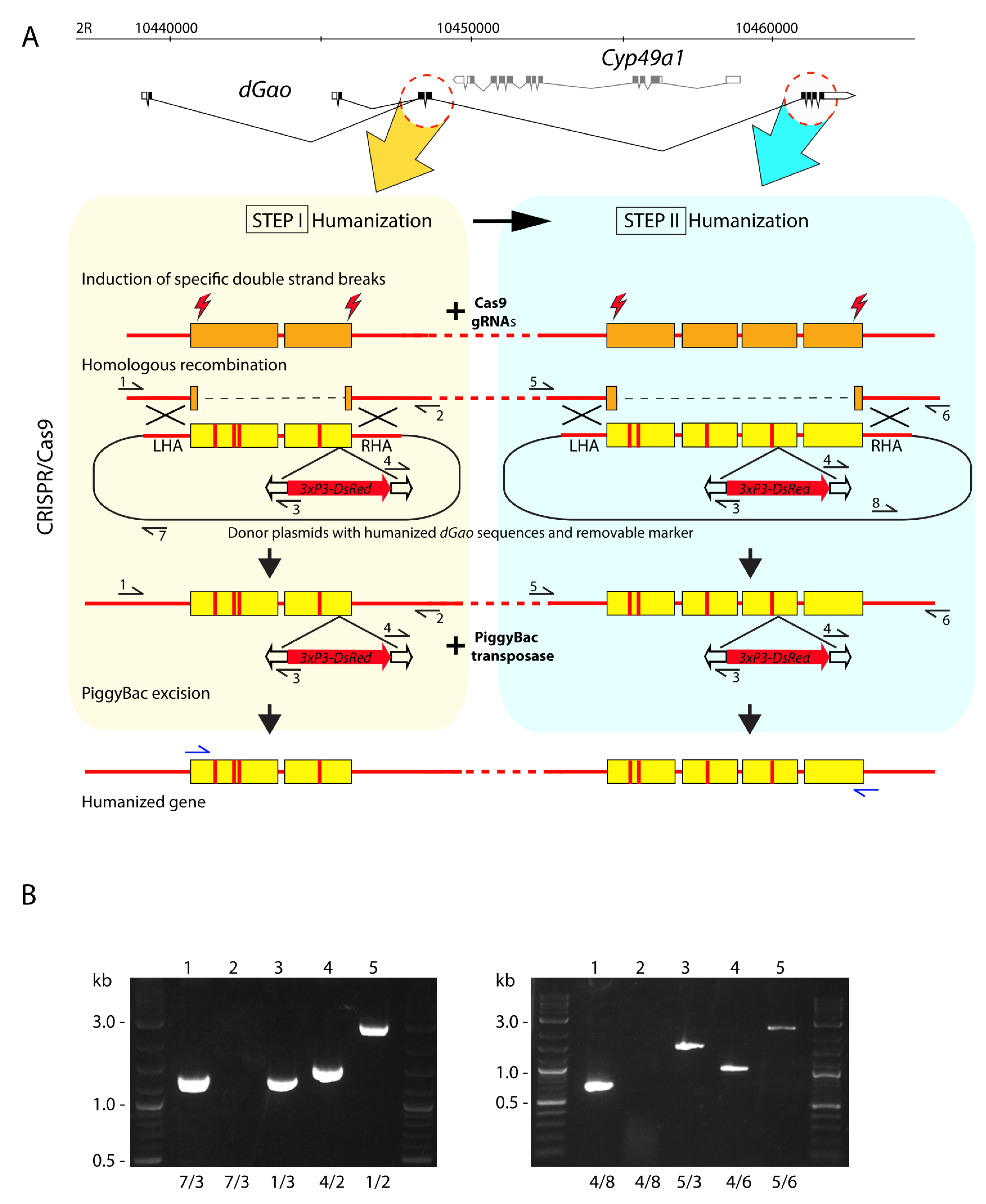 Biomedicines 08 00395 g002 Biomedicines 08 00395 g002