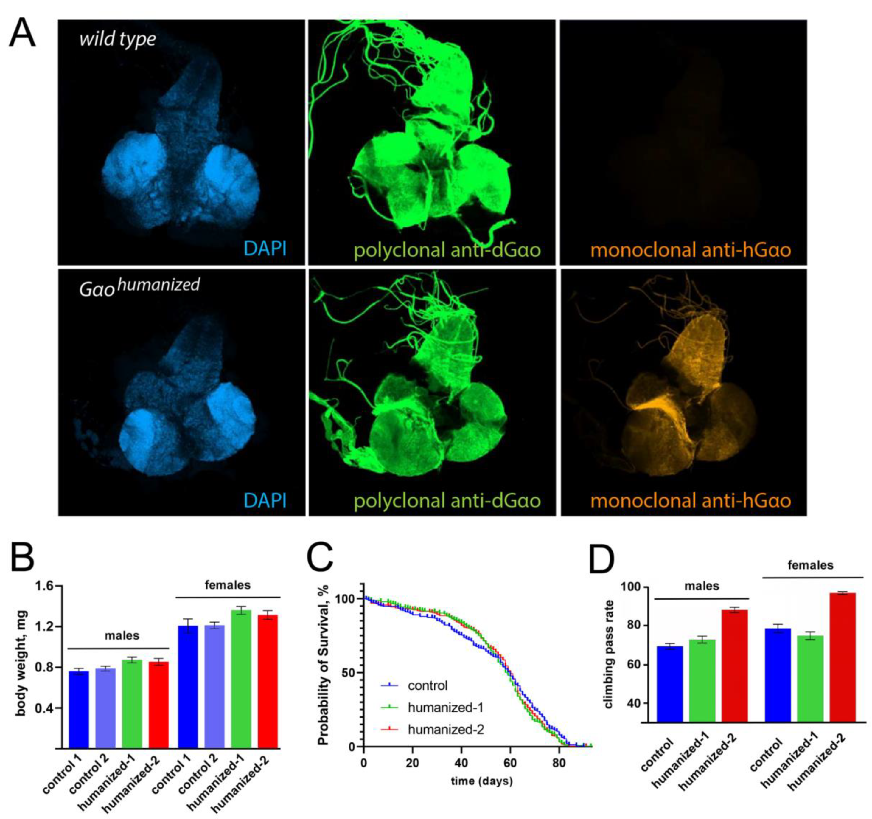 Biomedicines 08 00395 g003 Biomedicines 08 00395 g003