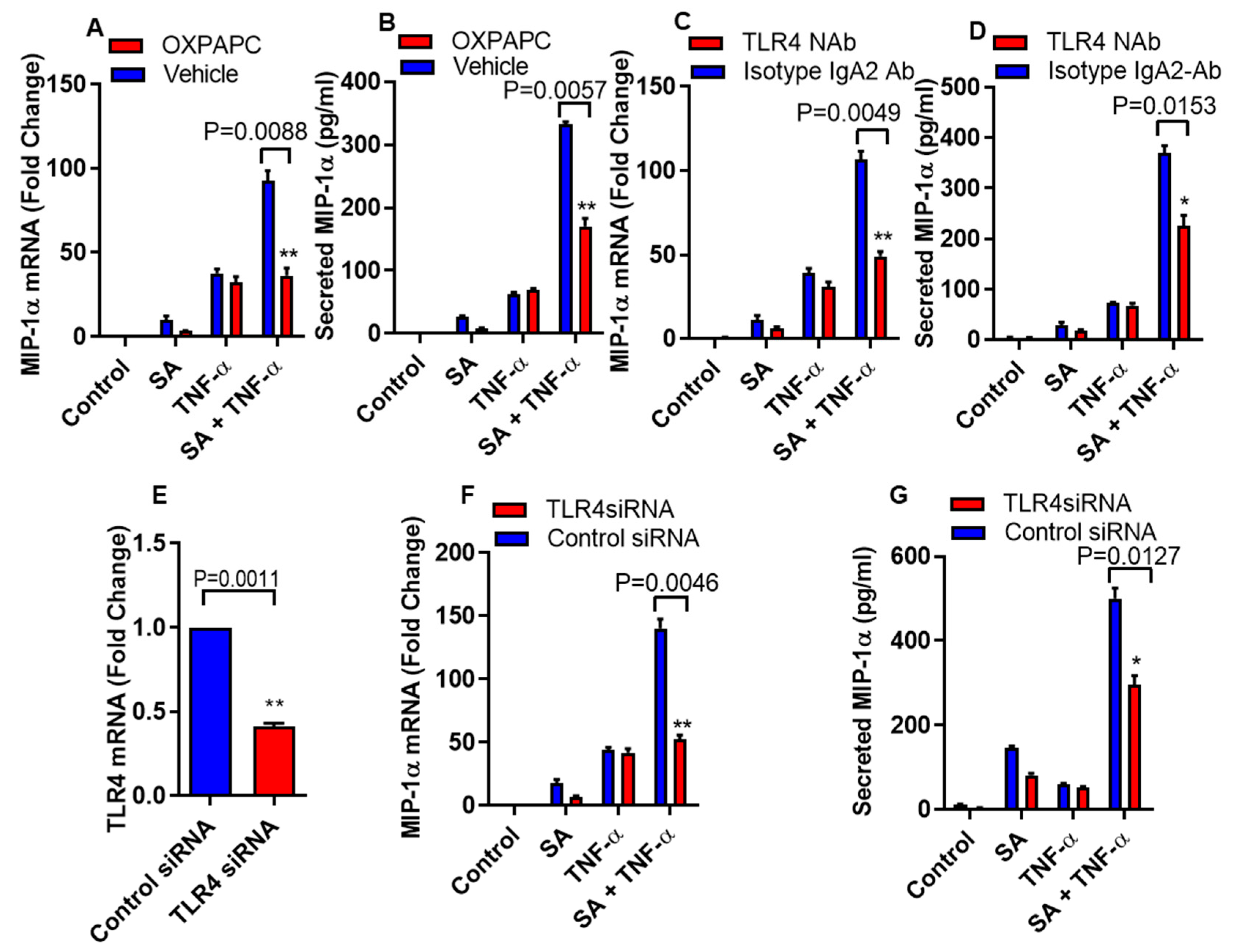 Biomedicines 08 00403 g002