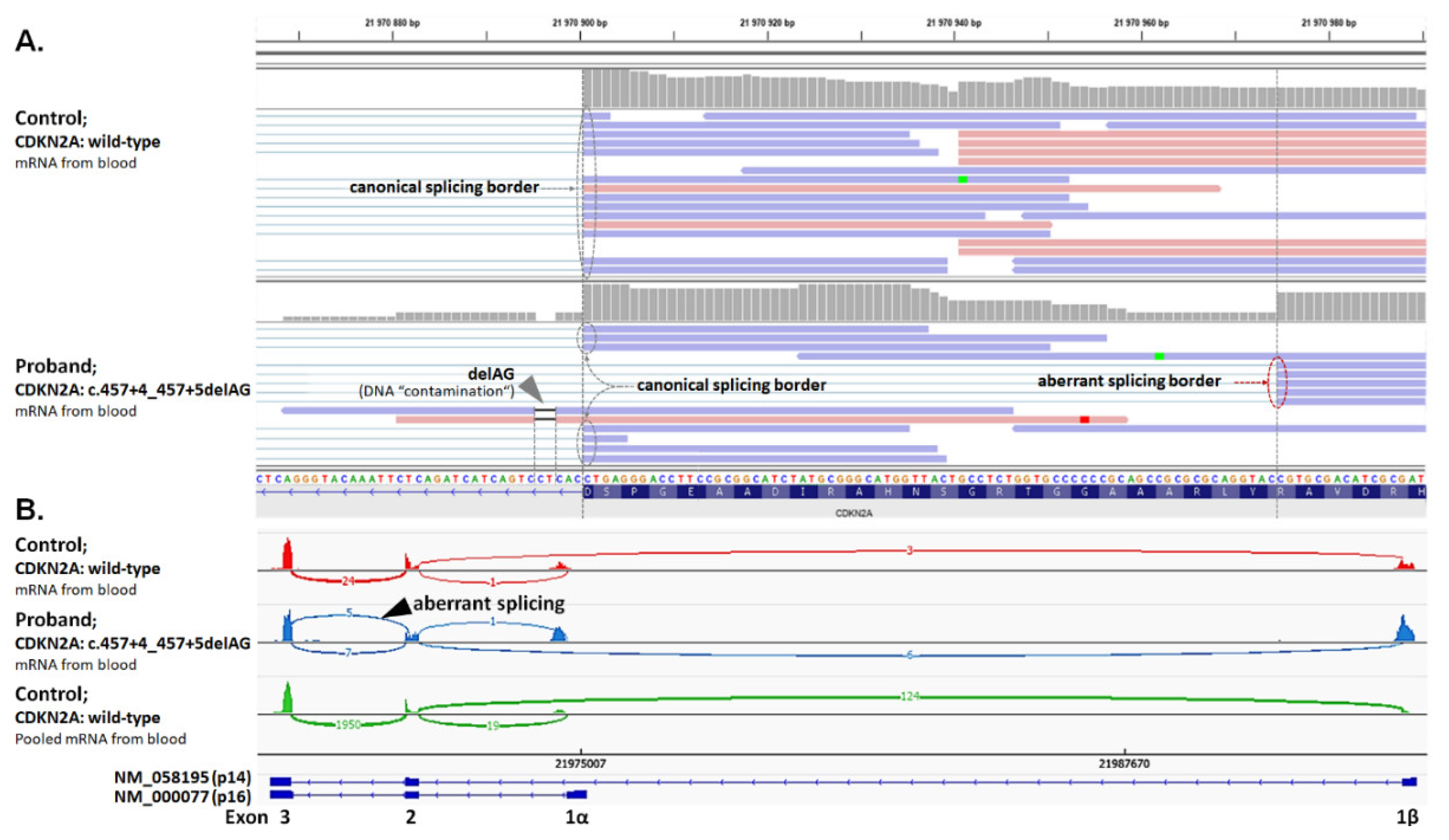 Biomedicines 08 00404 g001 Biomedicines 08 00404 g001