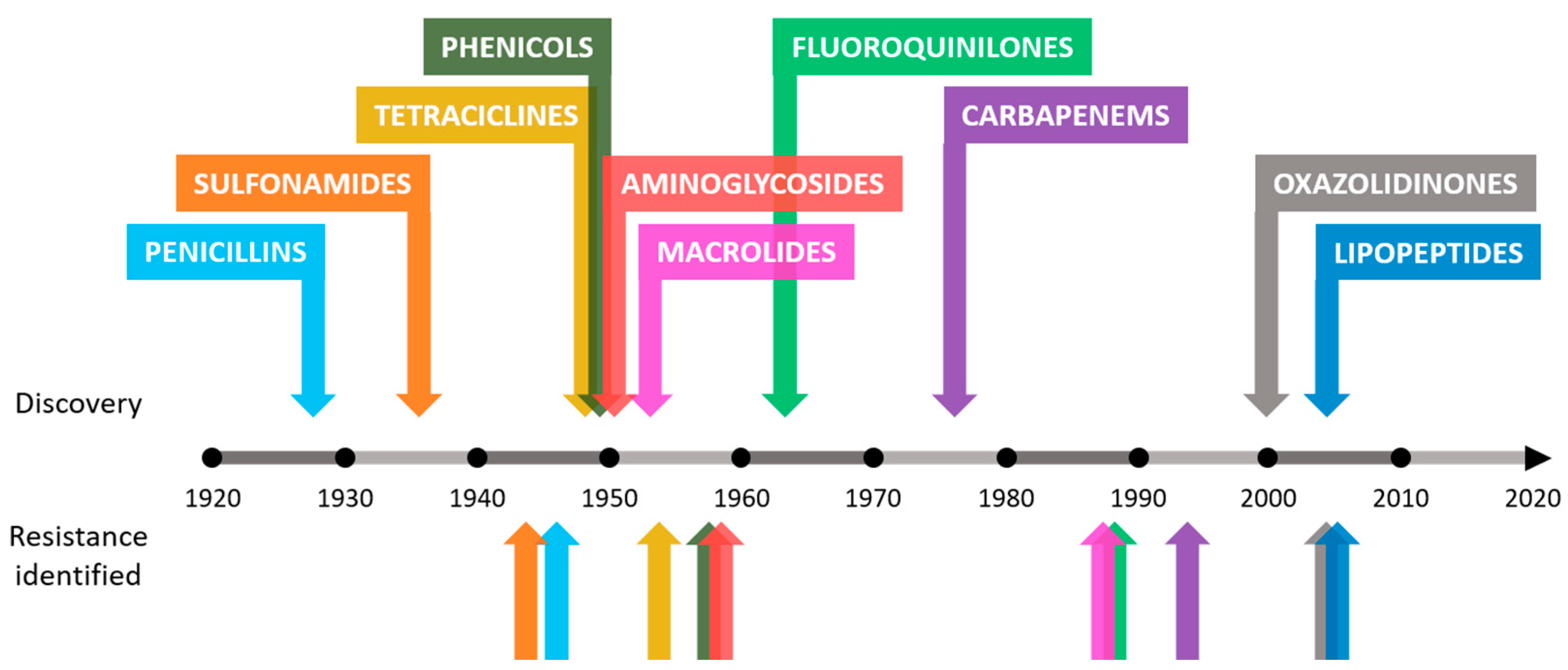 Biomedicines 08 00405 g002