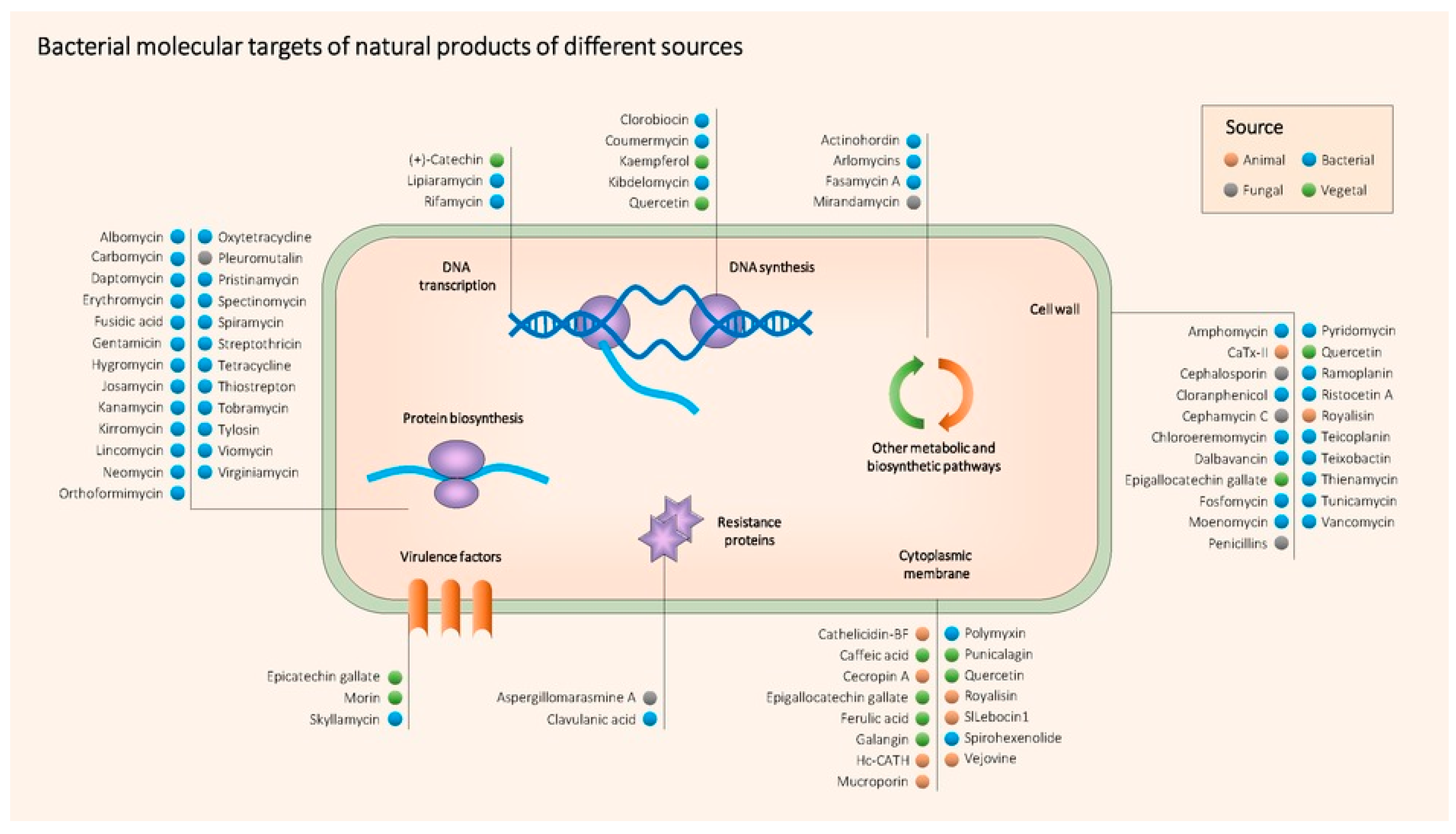 Biomedicines 08 00405 g004