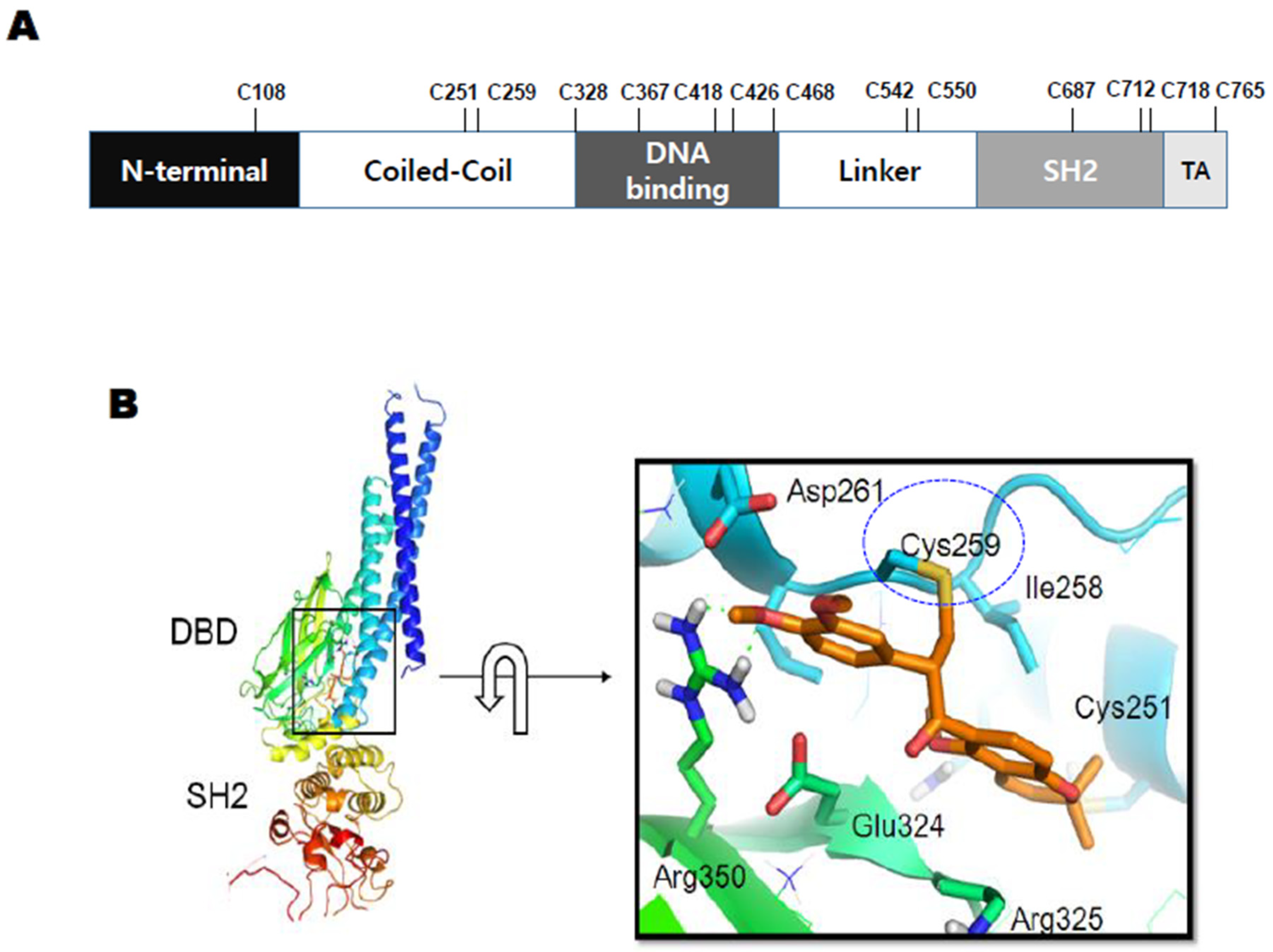 Biomedicines 08 00407 g005