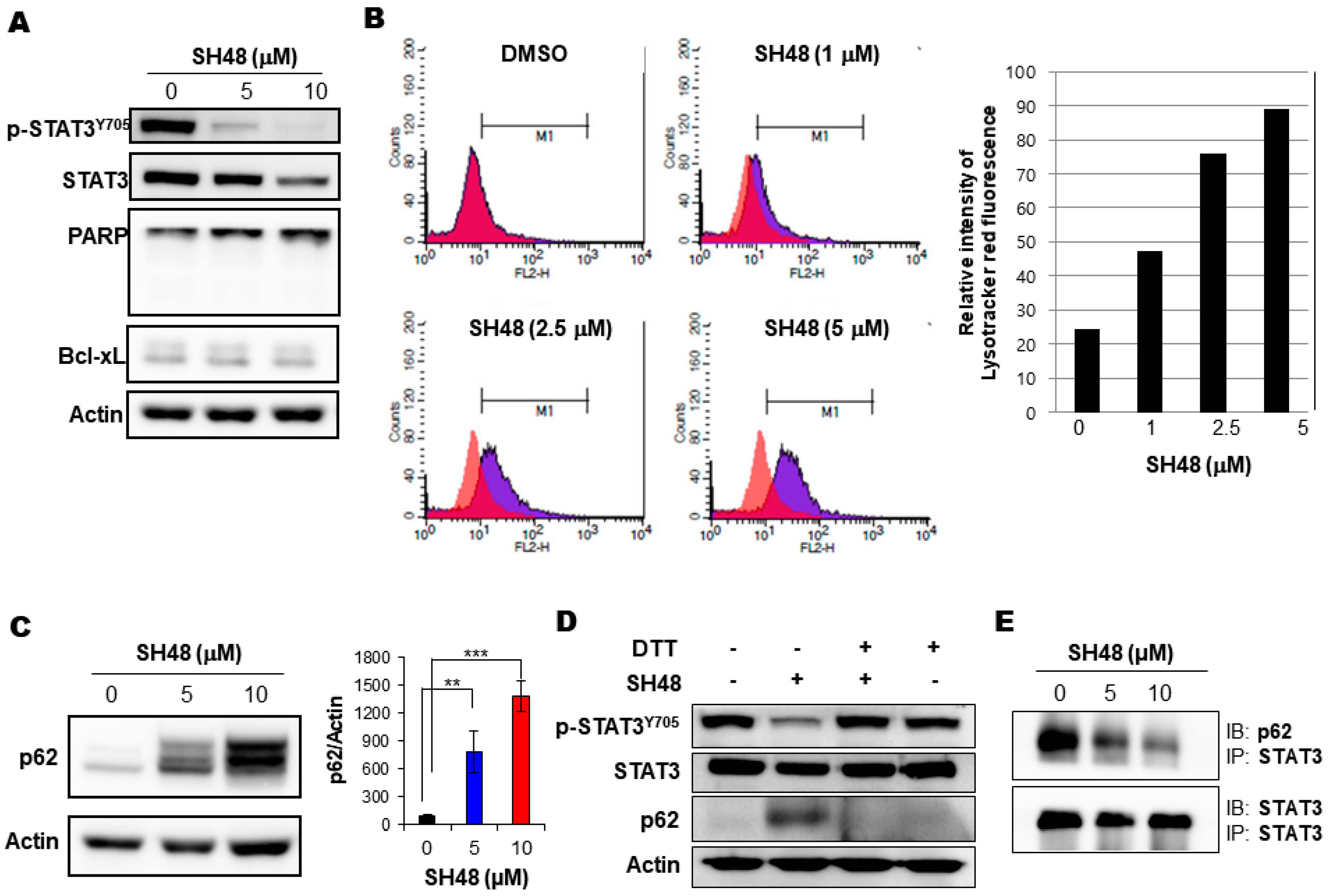 Biomedicines 08 00407 g007