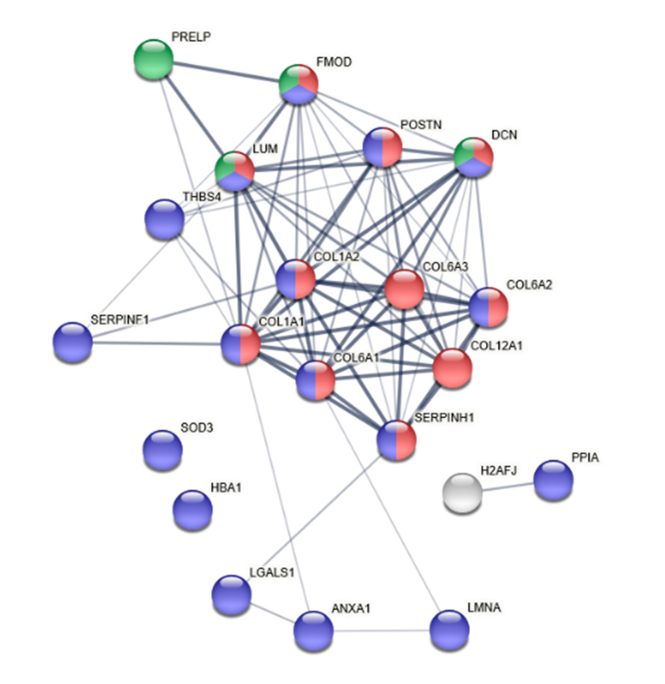 Biomedicines 08 00408 g003 Biomedicines 08 00408 g003