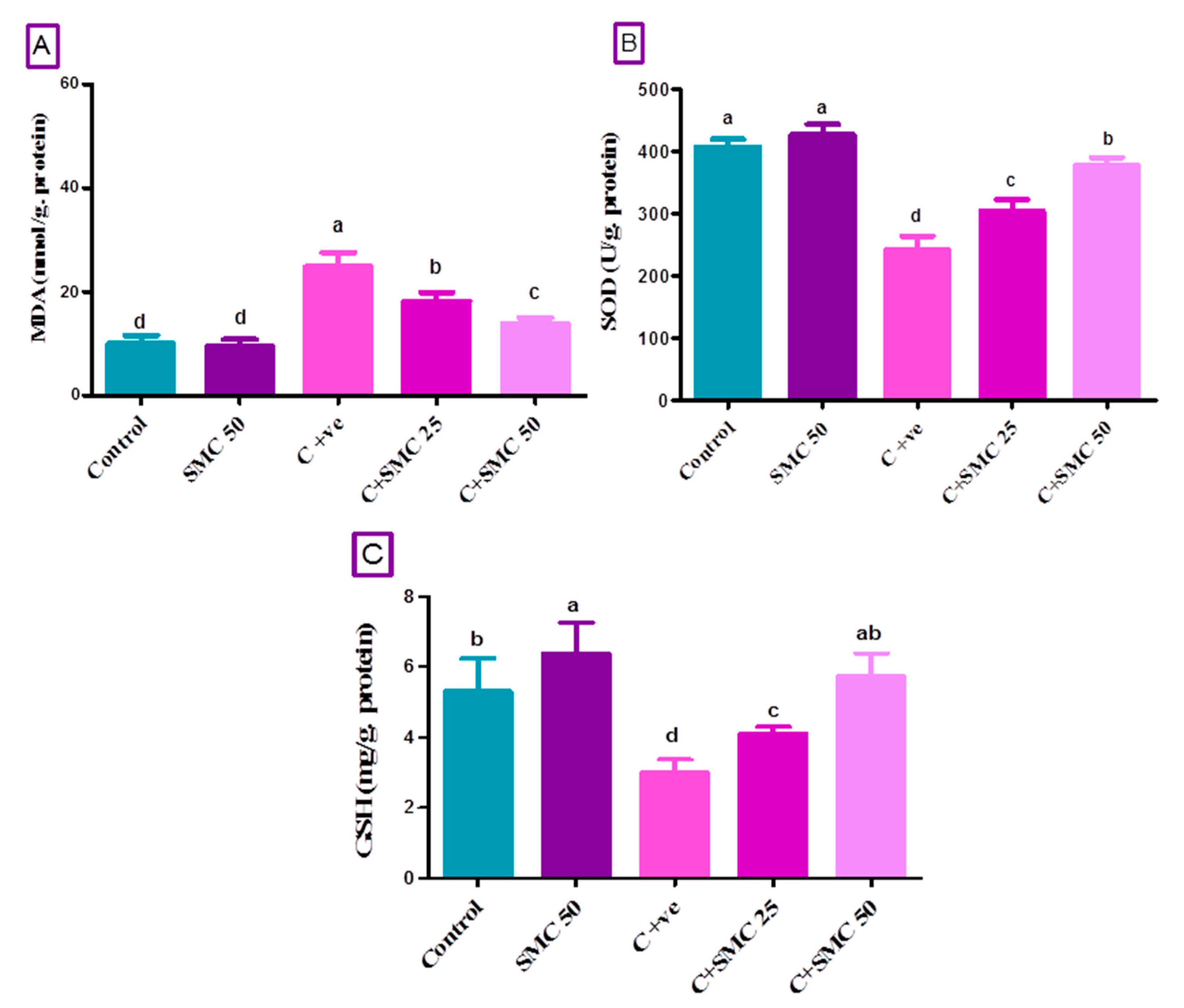 Biomedicines 08 00423 g007