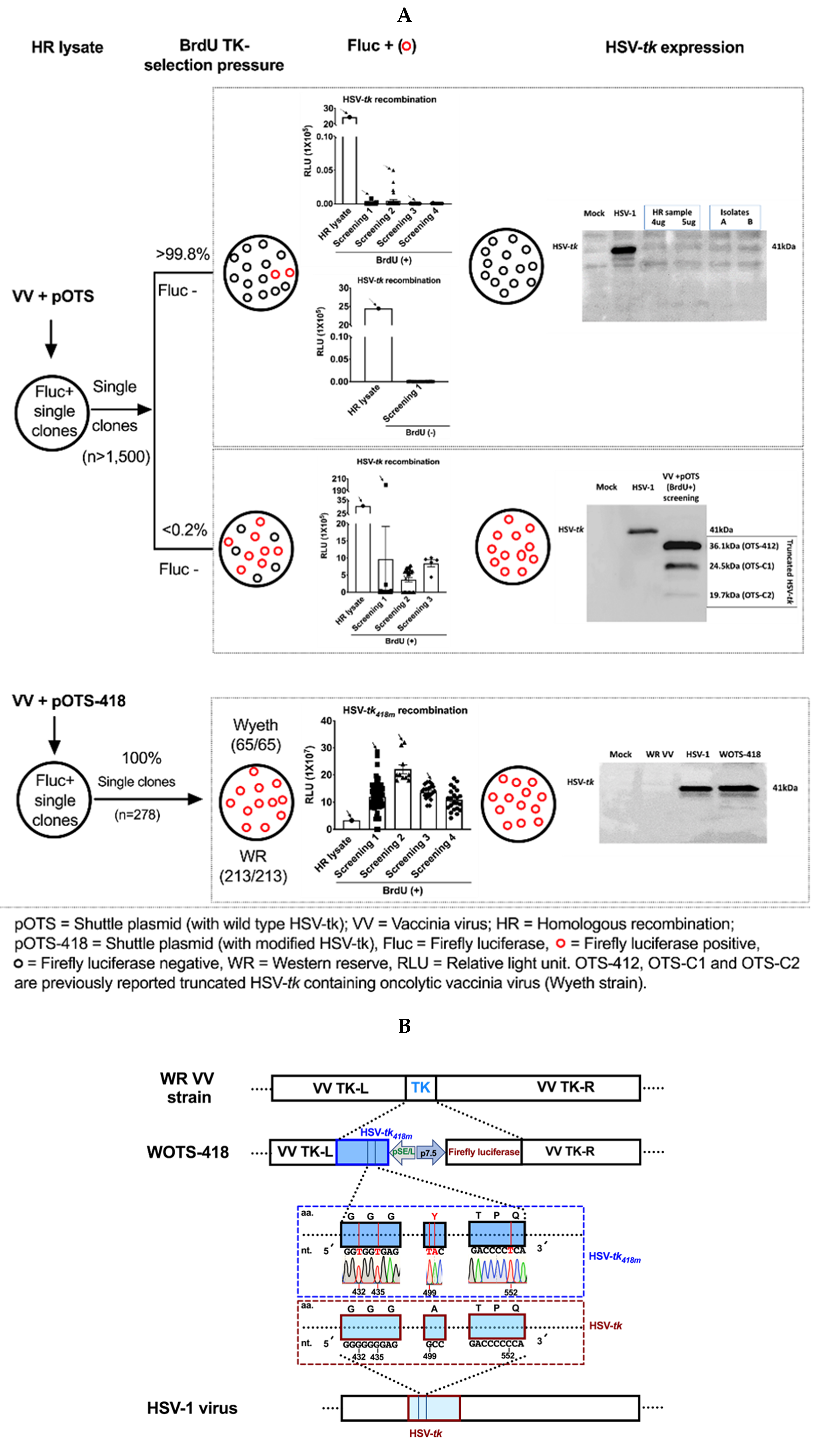 Biomedicines 08 00426 g001a