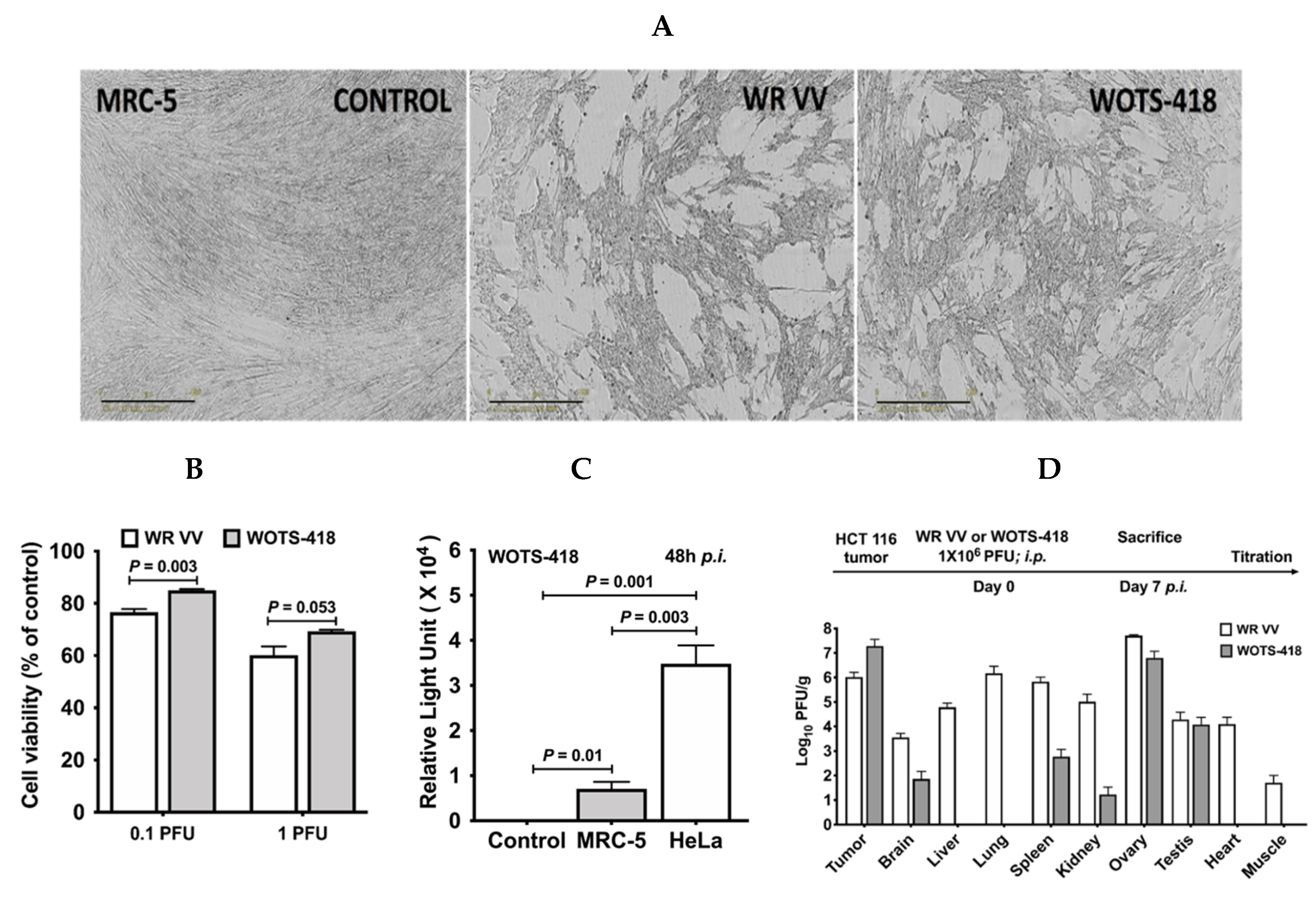 Biomedicines 08 00426 g003
