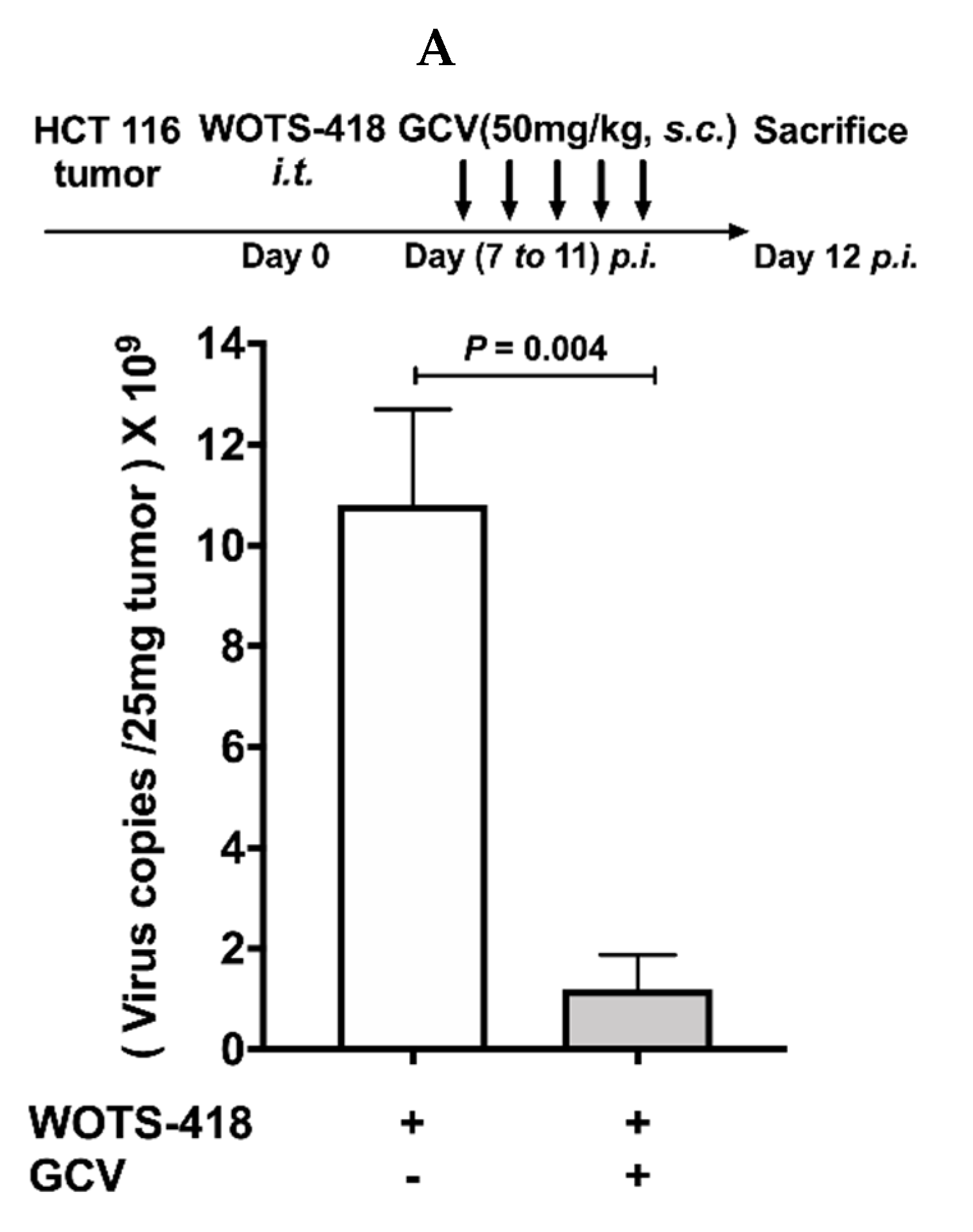 Biomedicines 08 00426 g006a