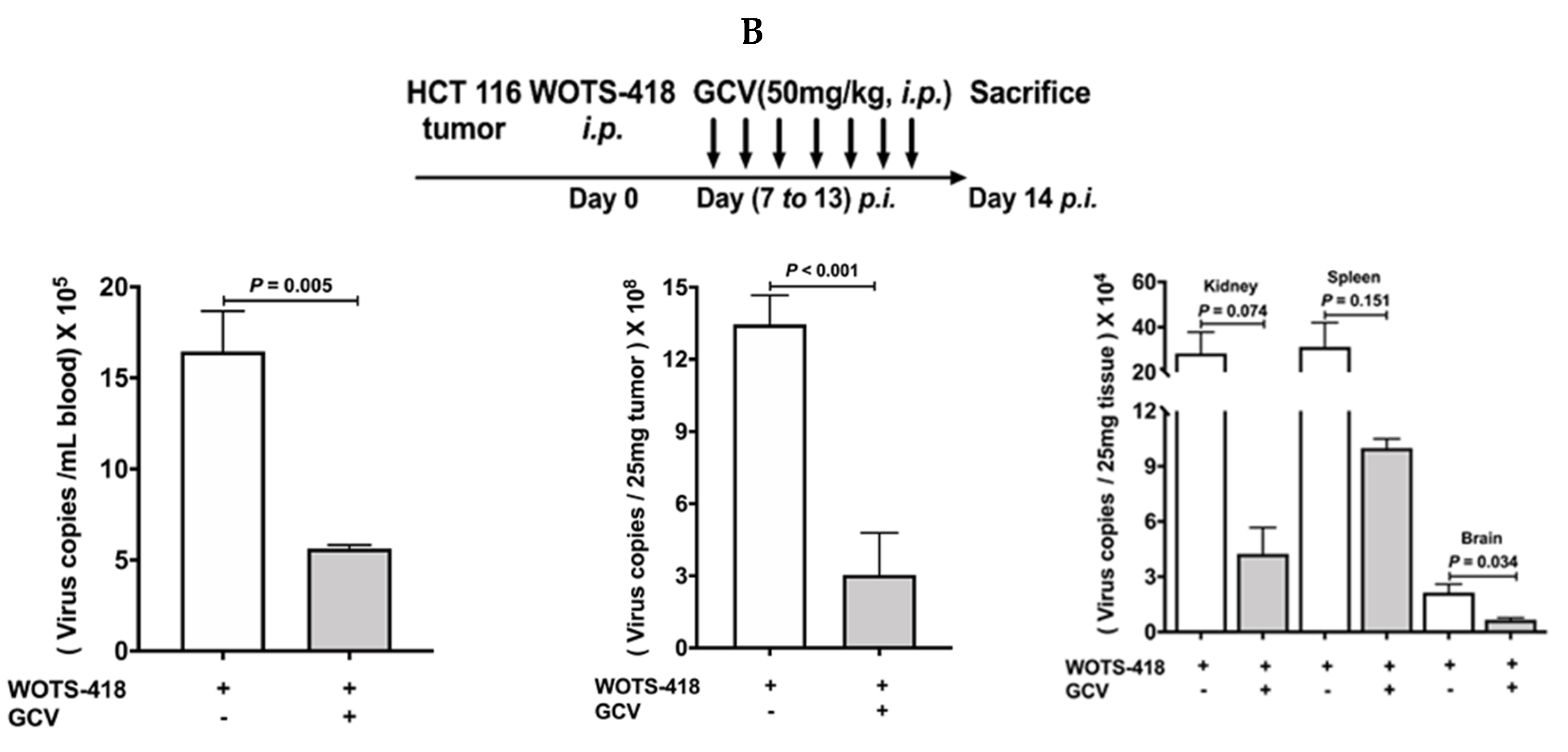 Biomedicines 08 00426 g006b