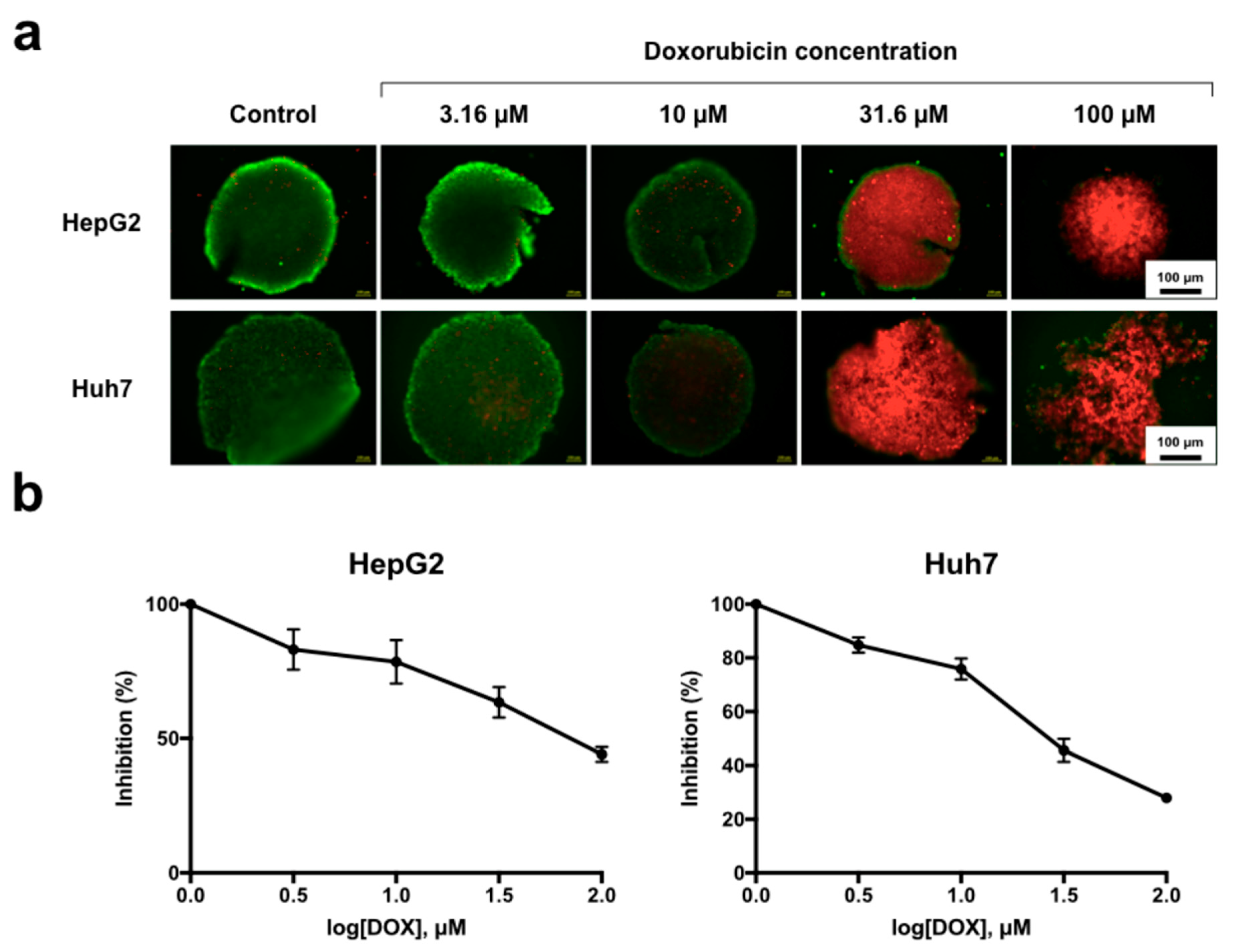 Biomedicines 08 00427 g006