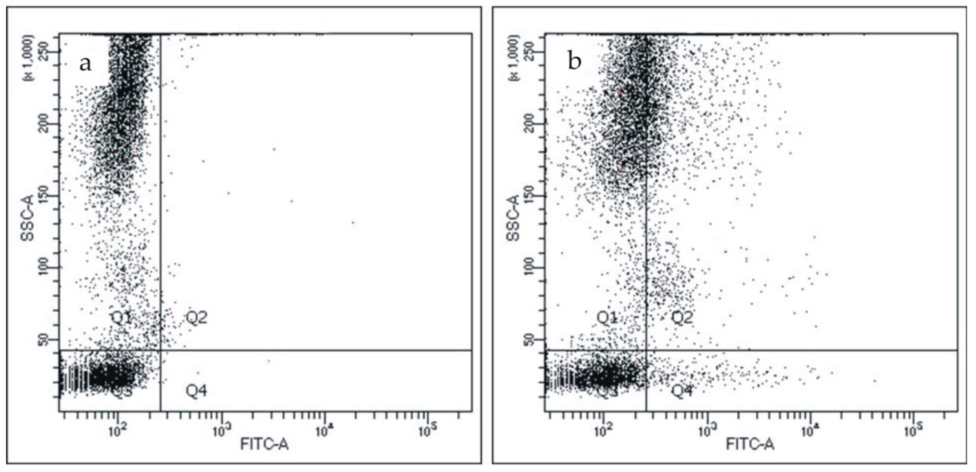Biomedicines 08 00435 g002