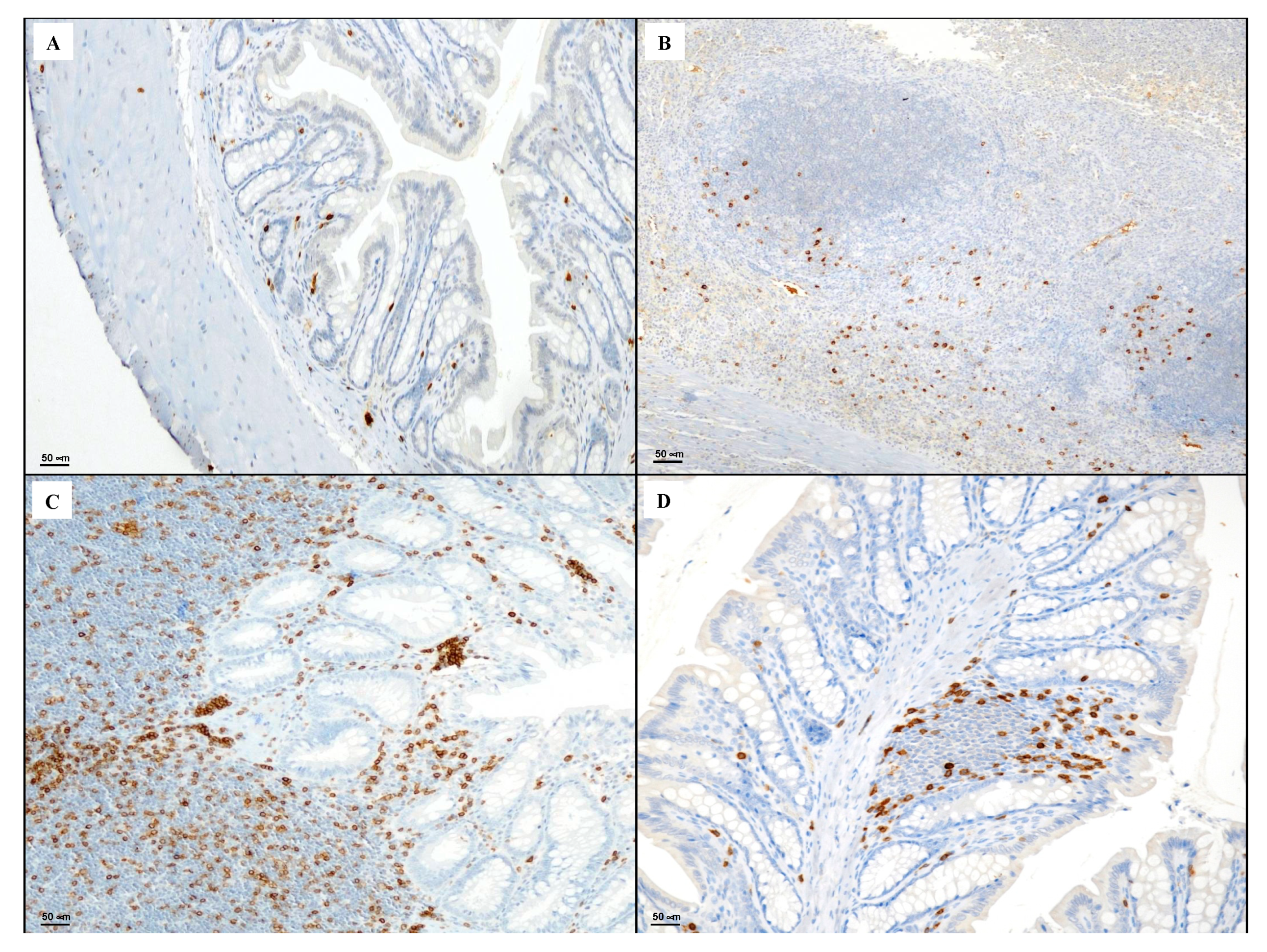 Biomedicines 08 00438 g004
