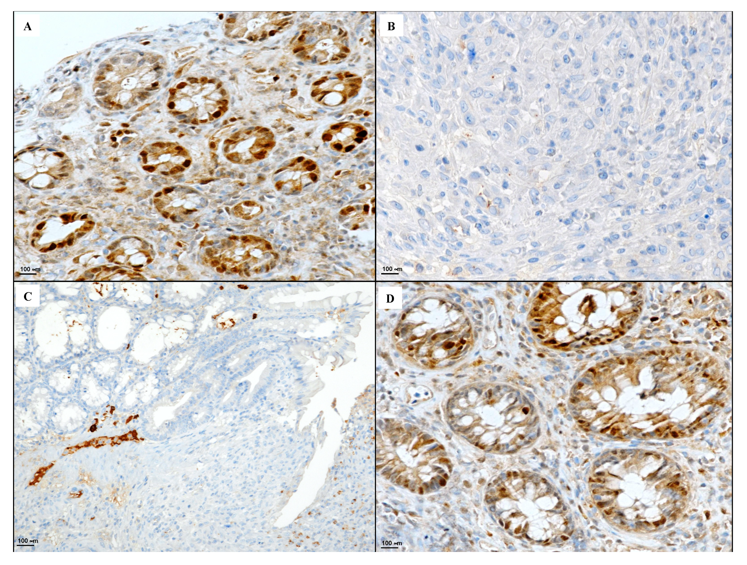 Biomedicines 08 00438 g007