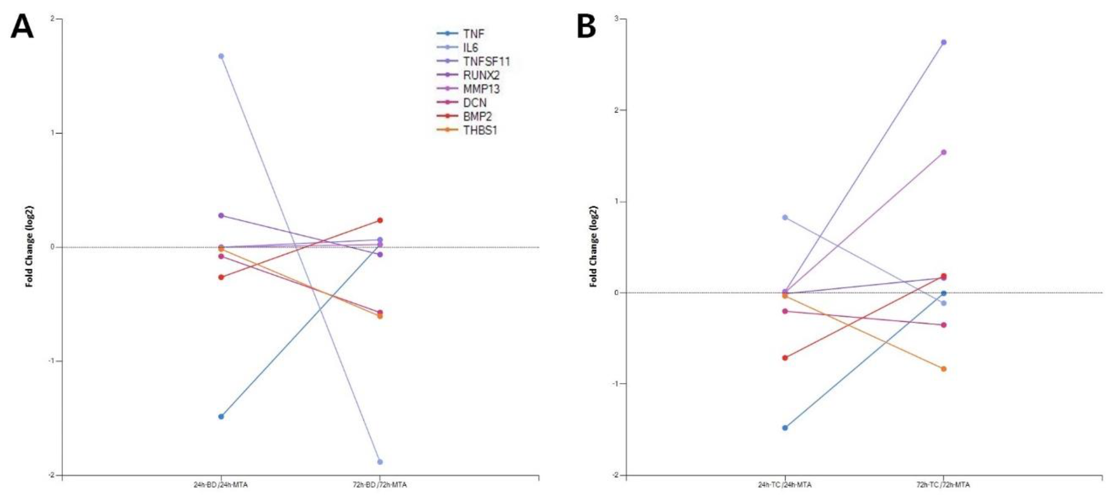 Biomedicines 08 00445 g004