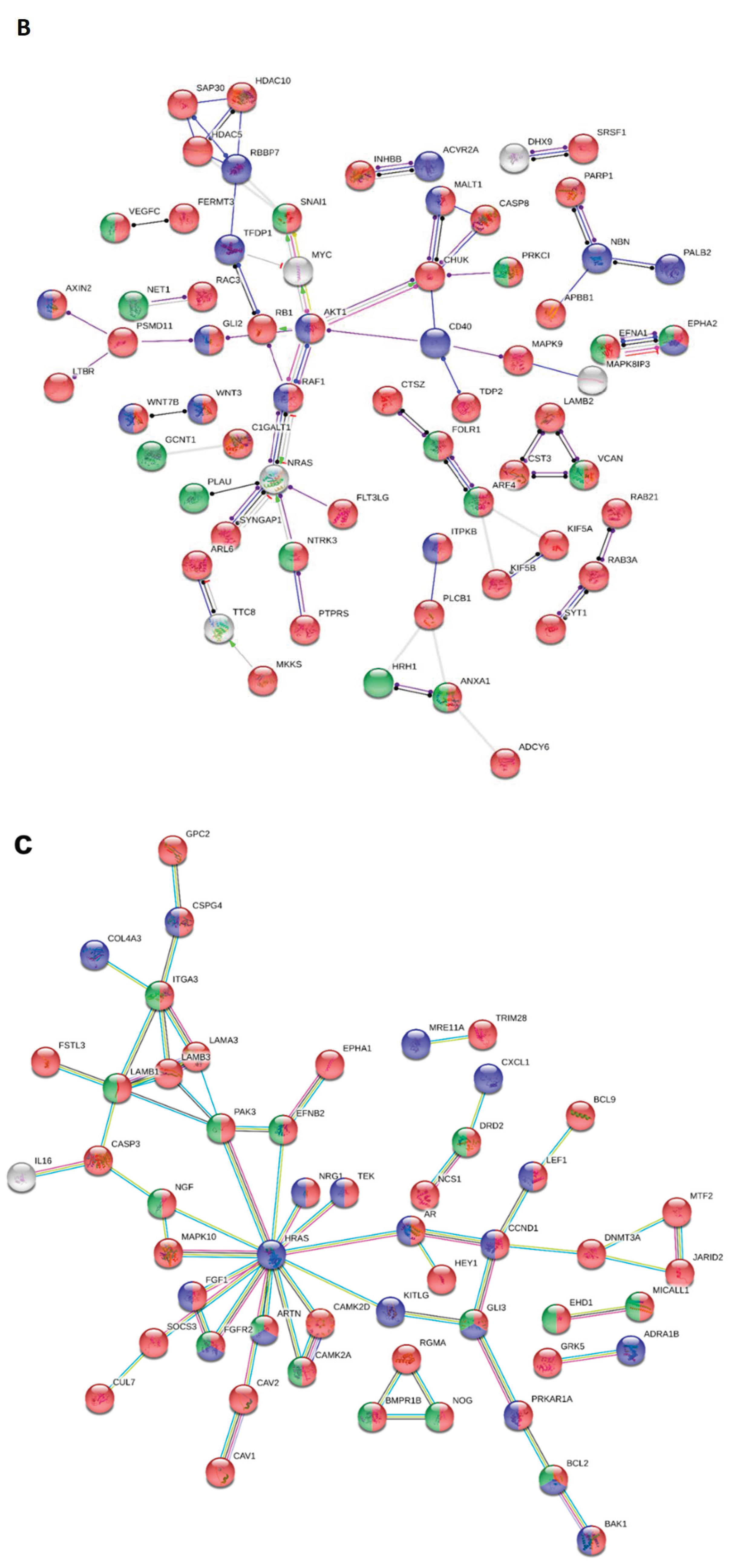 Biomedicines 08 00445 g005b
