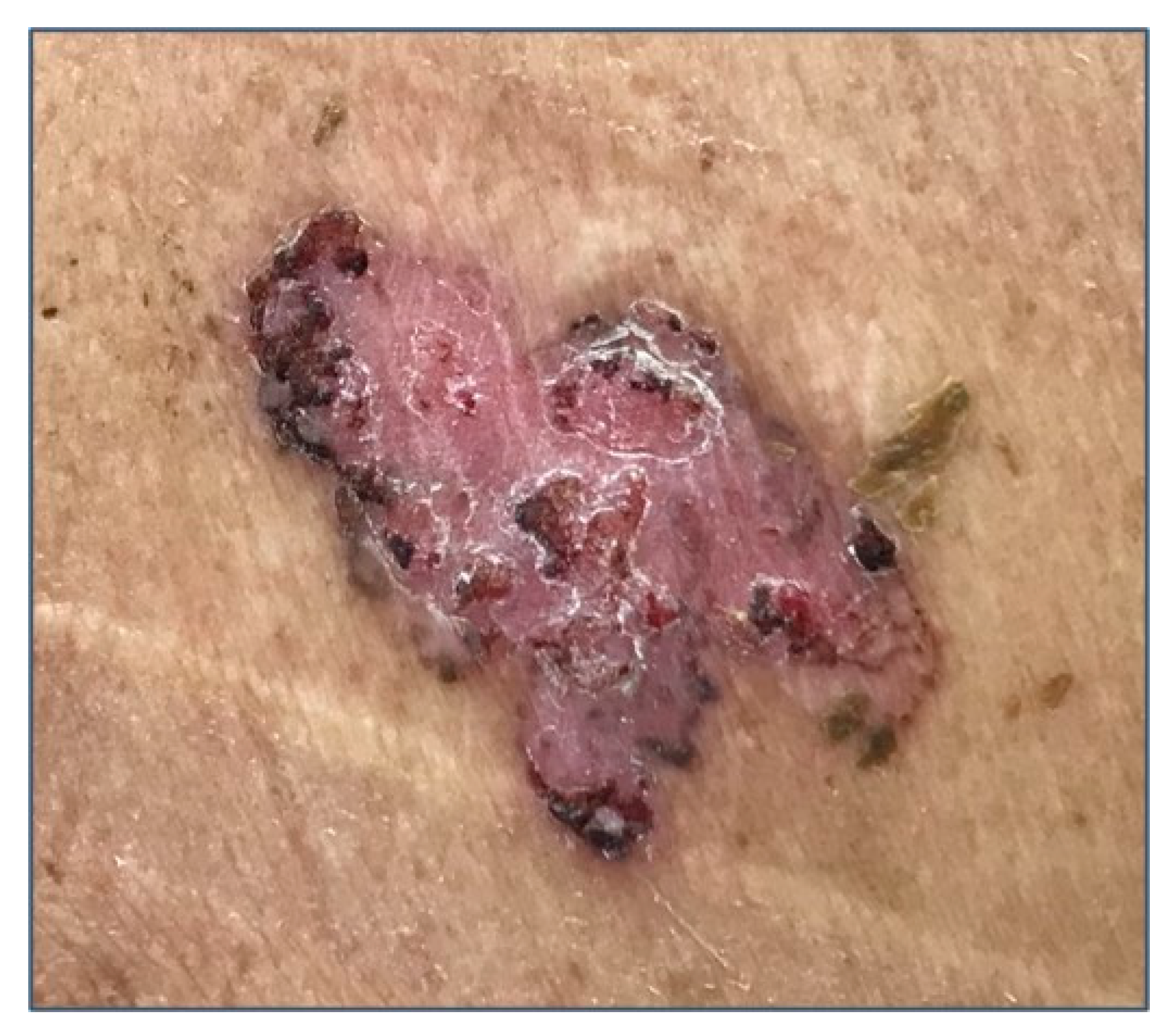 Biomedicines 08 00449 g001