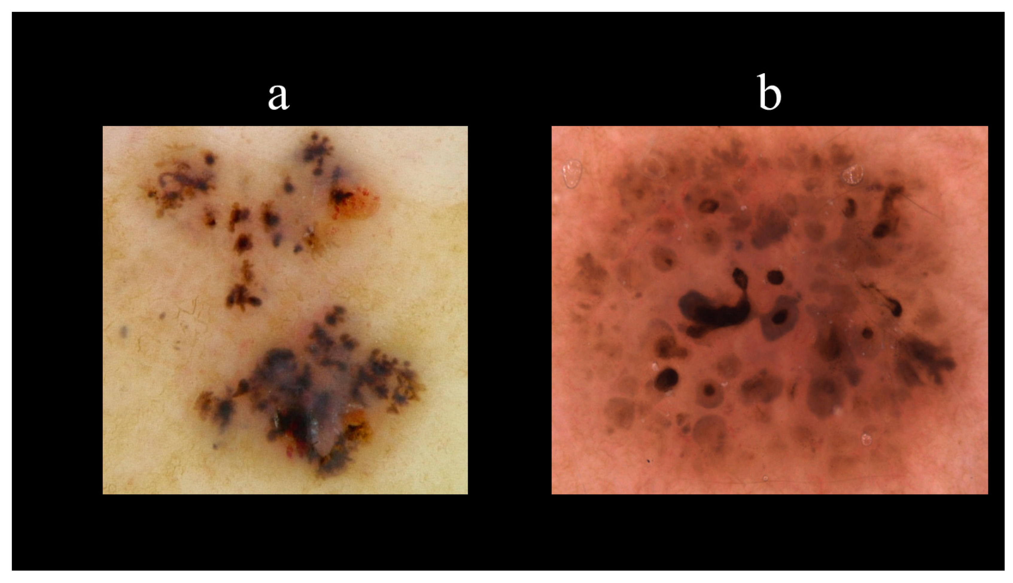 Biomedicines 08 00449 g015