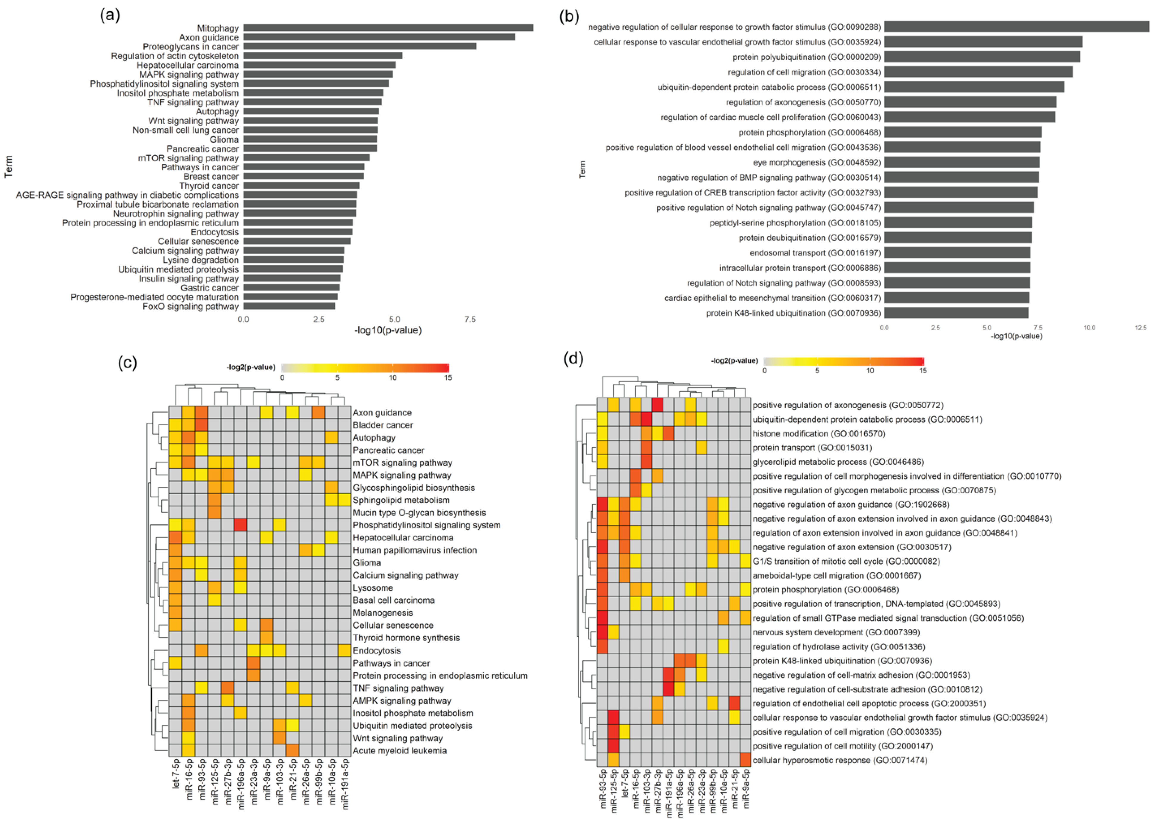Biomedicines 08 00450 g007 Biomedicines 08 00450 g007
