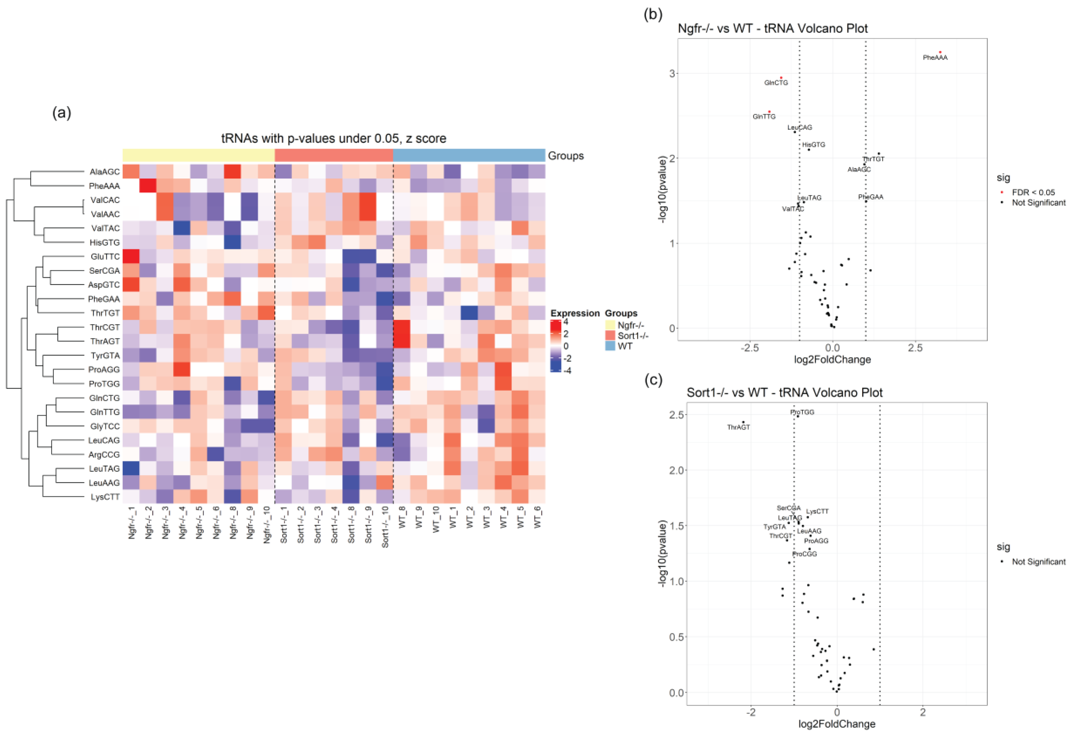 Biomedicines 08 00450 g008 Biomedicines 08 00450 g008