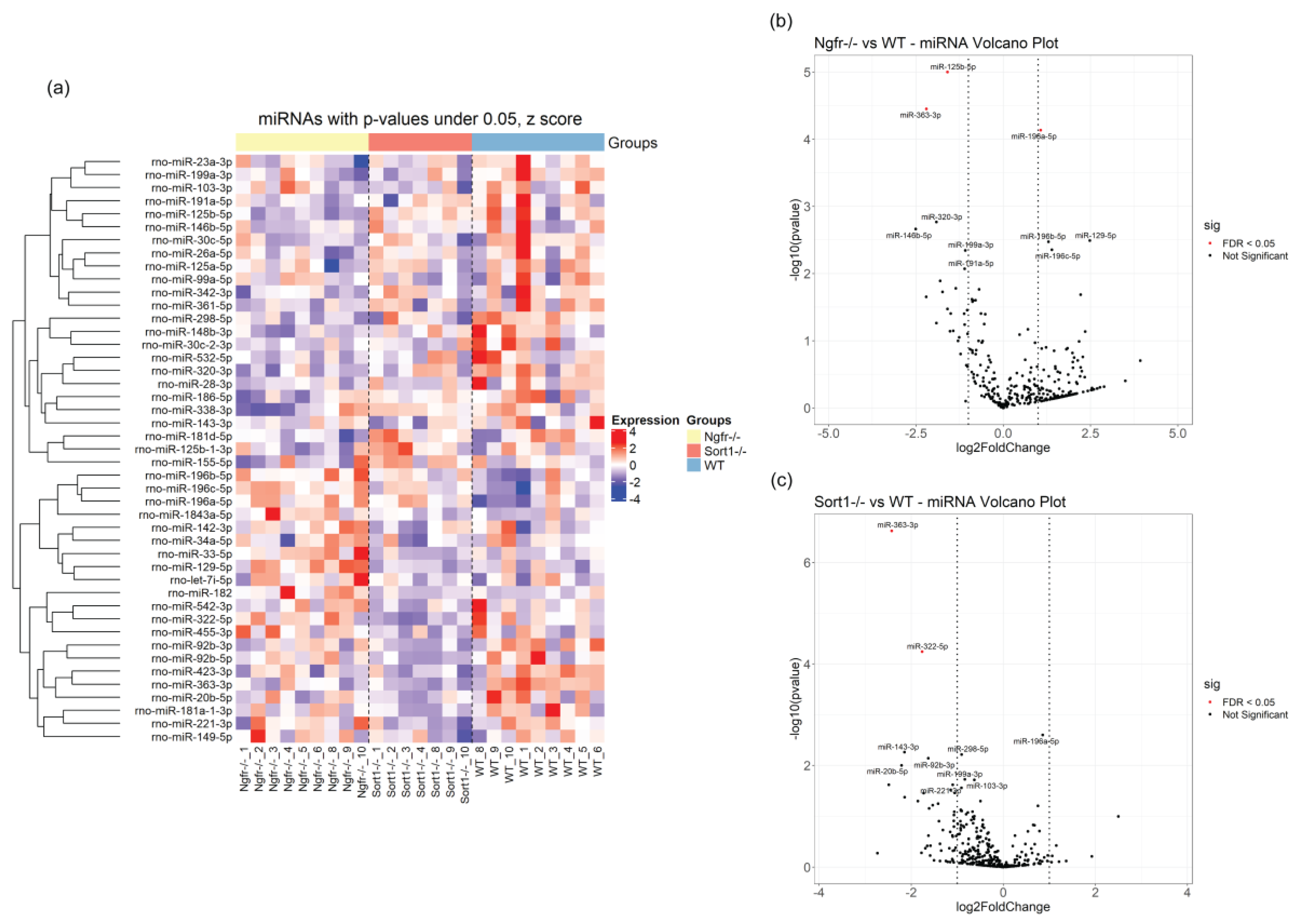 Biomedicines 08 00450 g009 Biomedicines 08 00450 g009