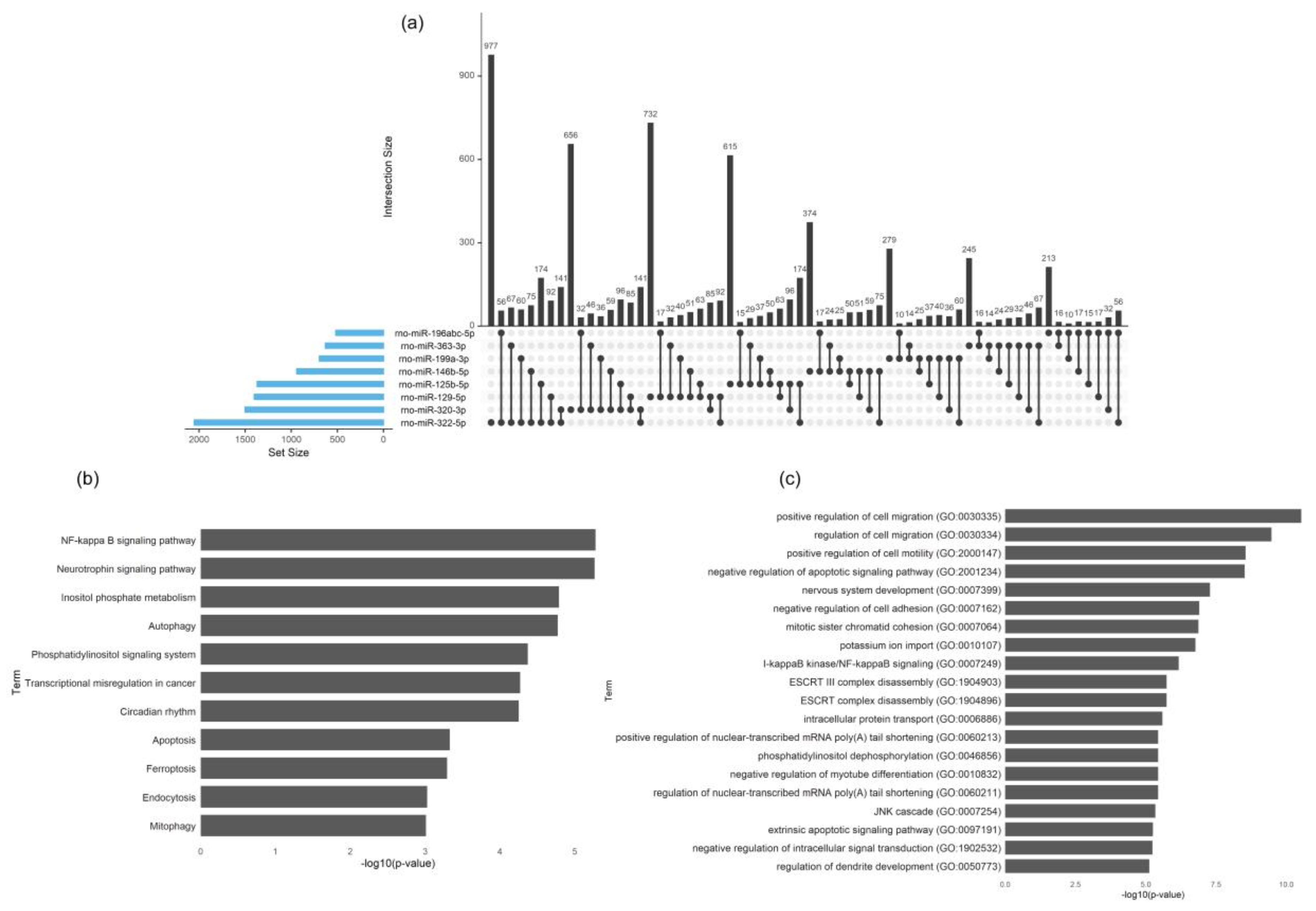 Biomedicines 08 00450 g010 Biomedicines 08 00450 g010