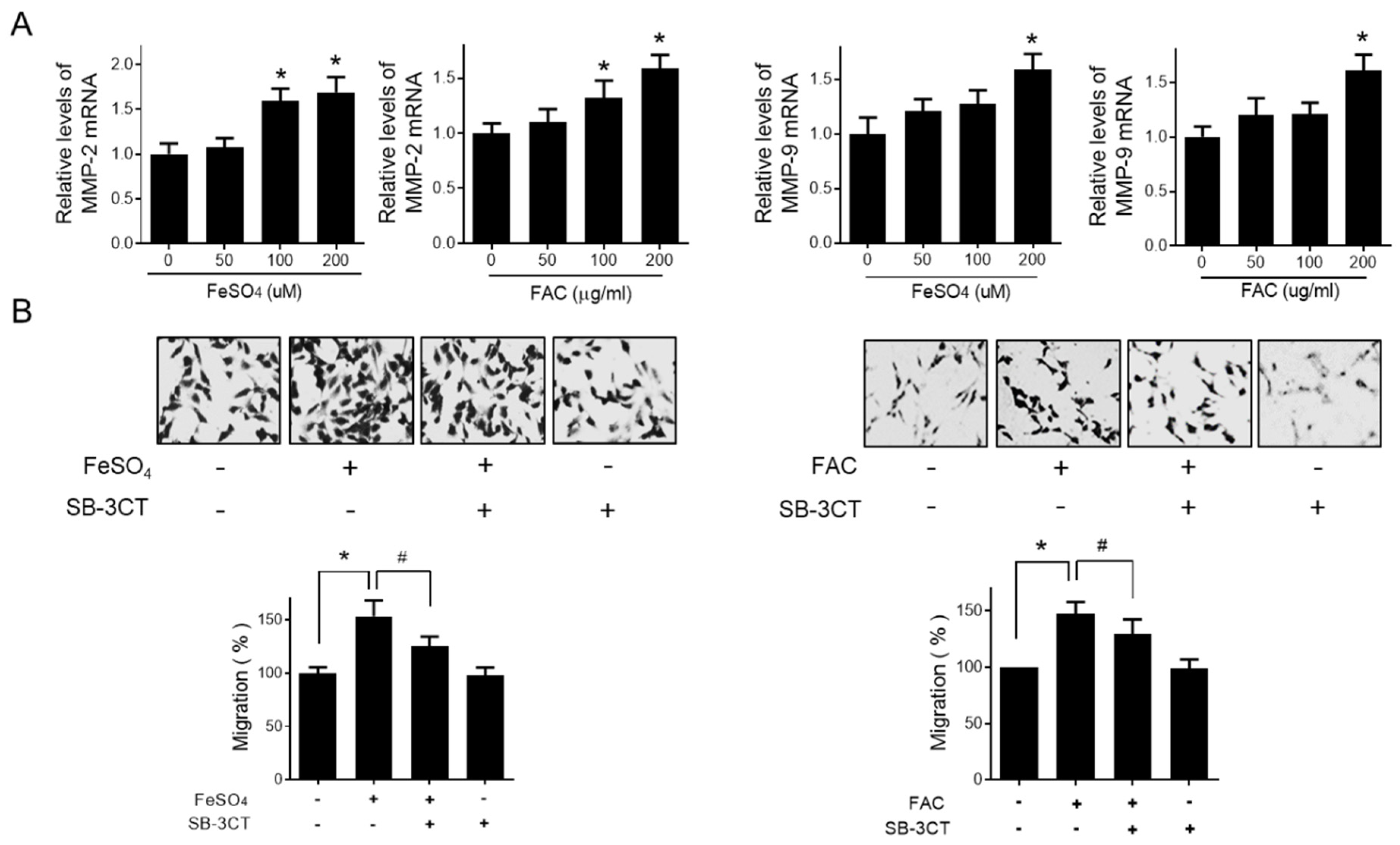 Biomedicines 08 00454 g003