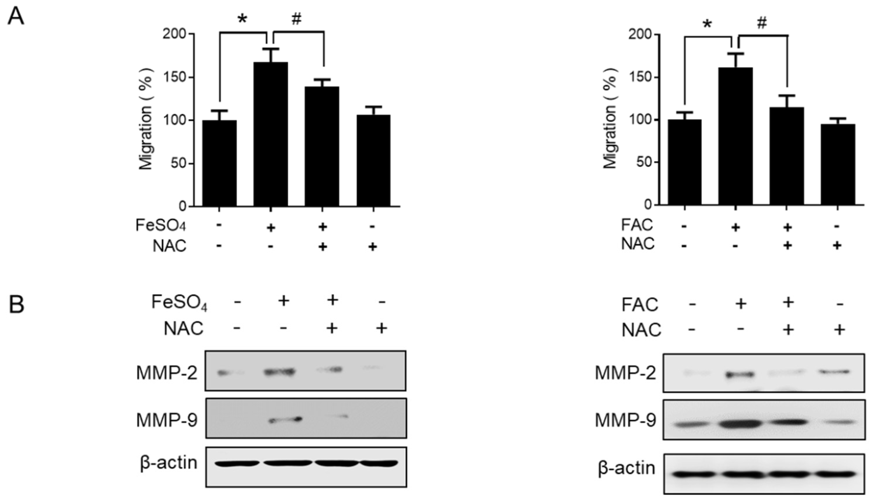 Biomedicines 08 00454 g005