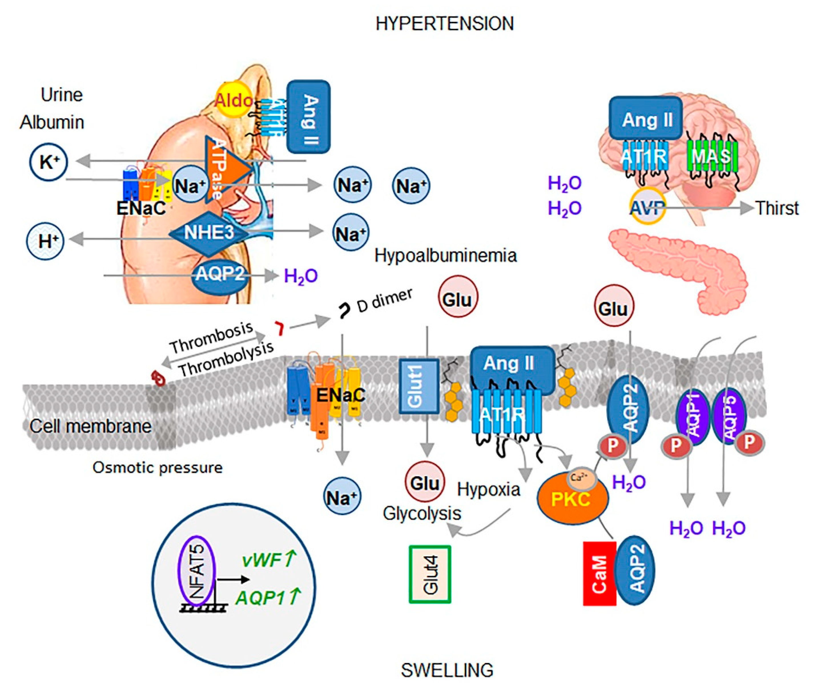 Biomedicines 08 00460 g003