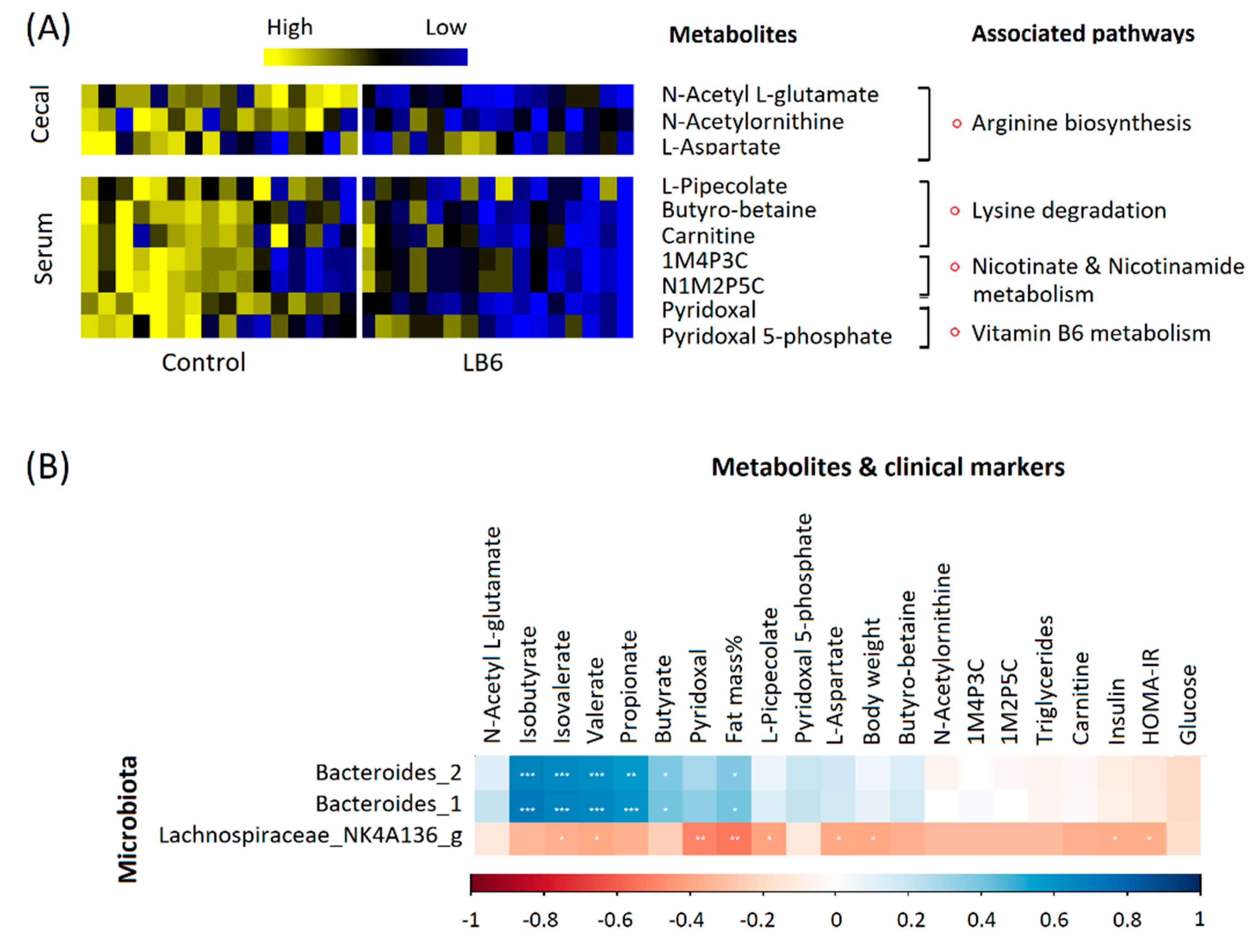 Biomedicines 08 00469 g006