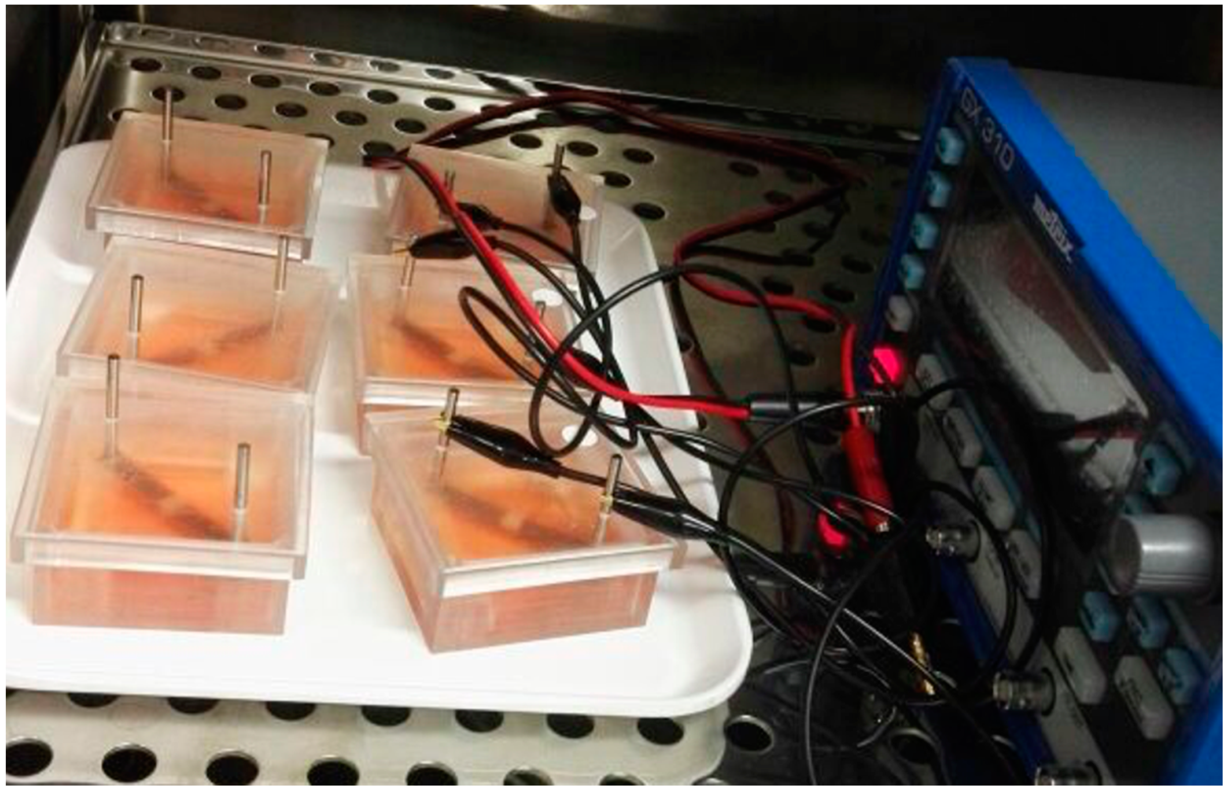 Biomedicines 08 00482 g001