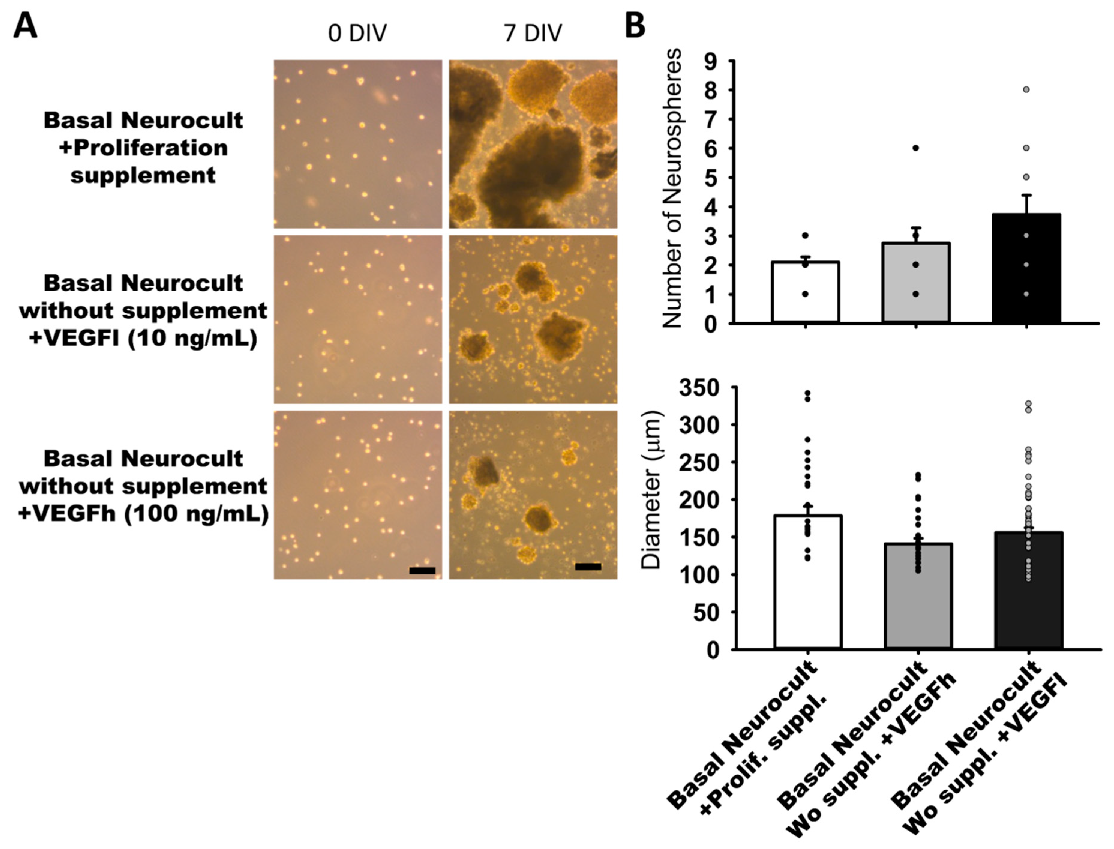 Biomedicines 08 00483 g002 Biomedicines 08 00483 g002