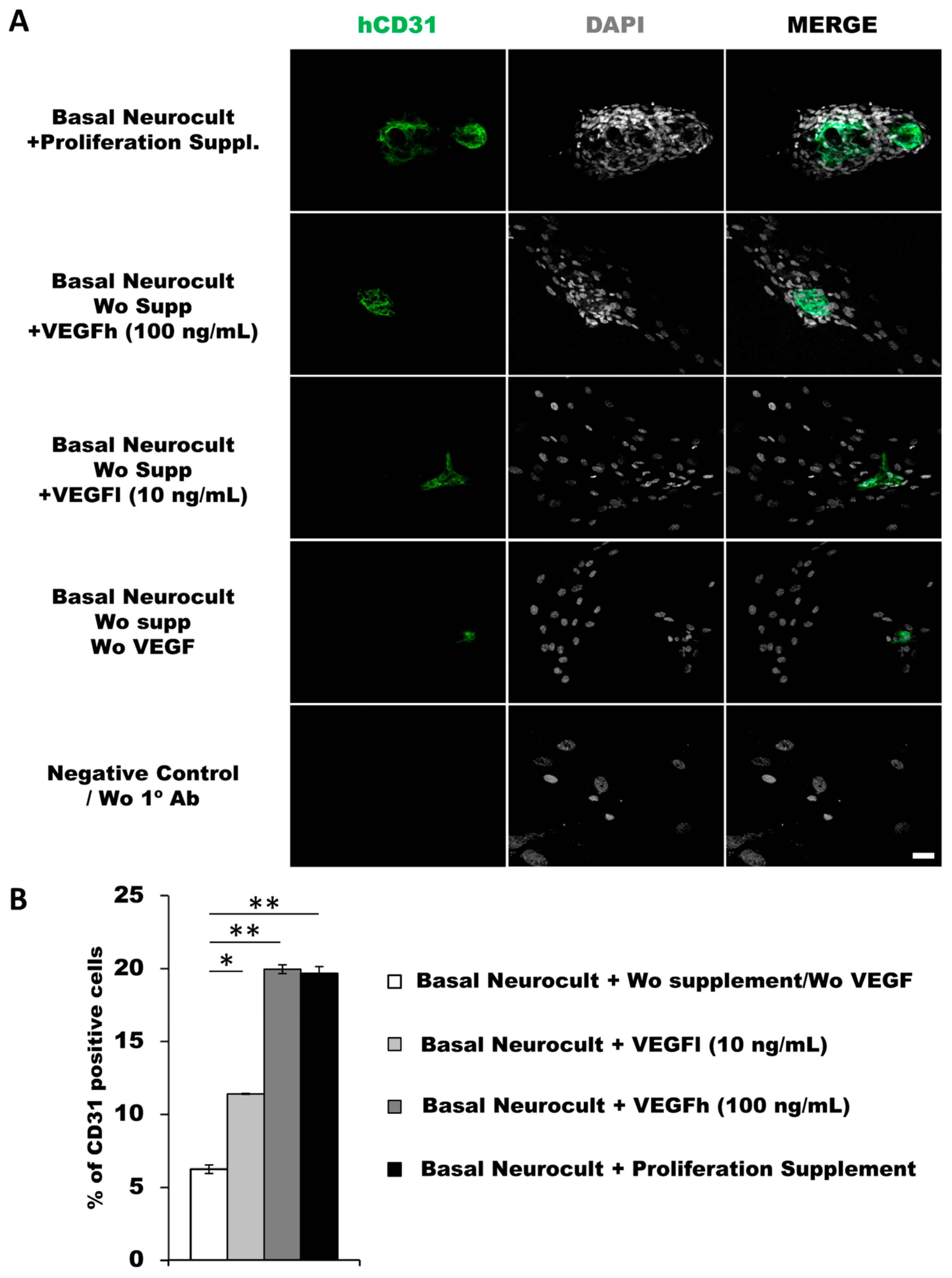 Biomedicines 08 00483 g003 Biomedicines 08 00483 g003