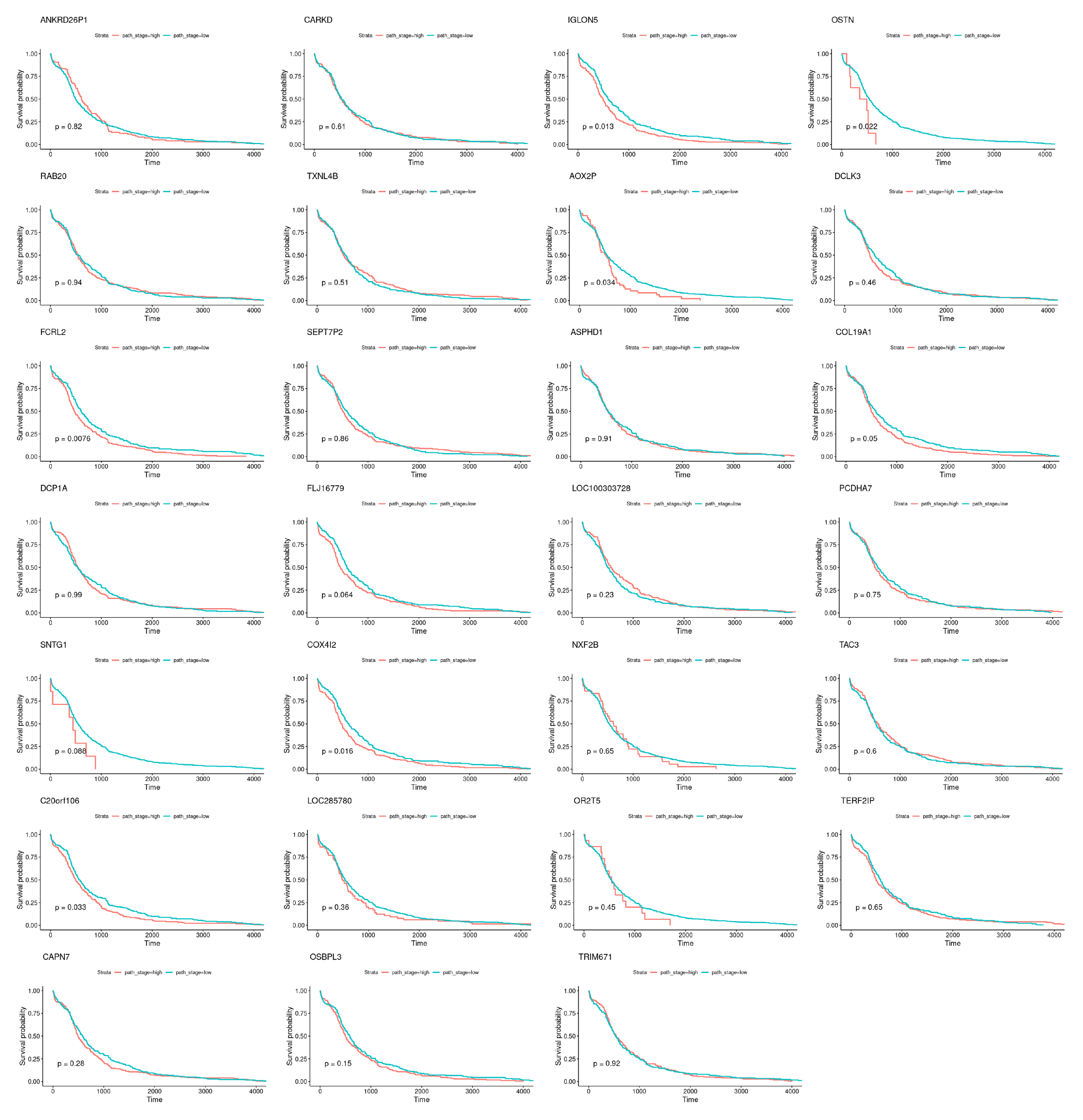 Biomedicines 08 00488 g009