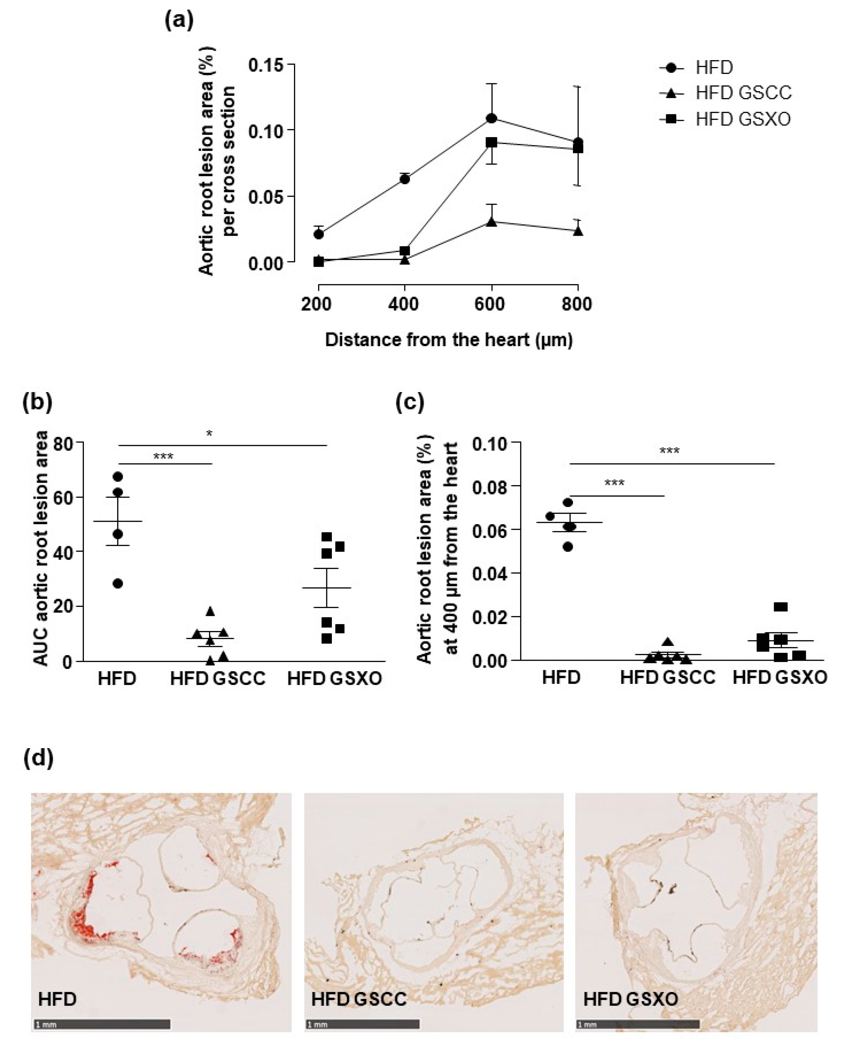 Biomedicines 08 00495 g005