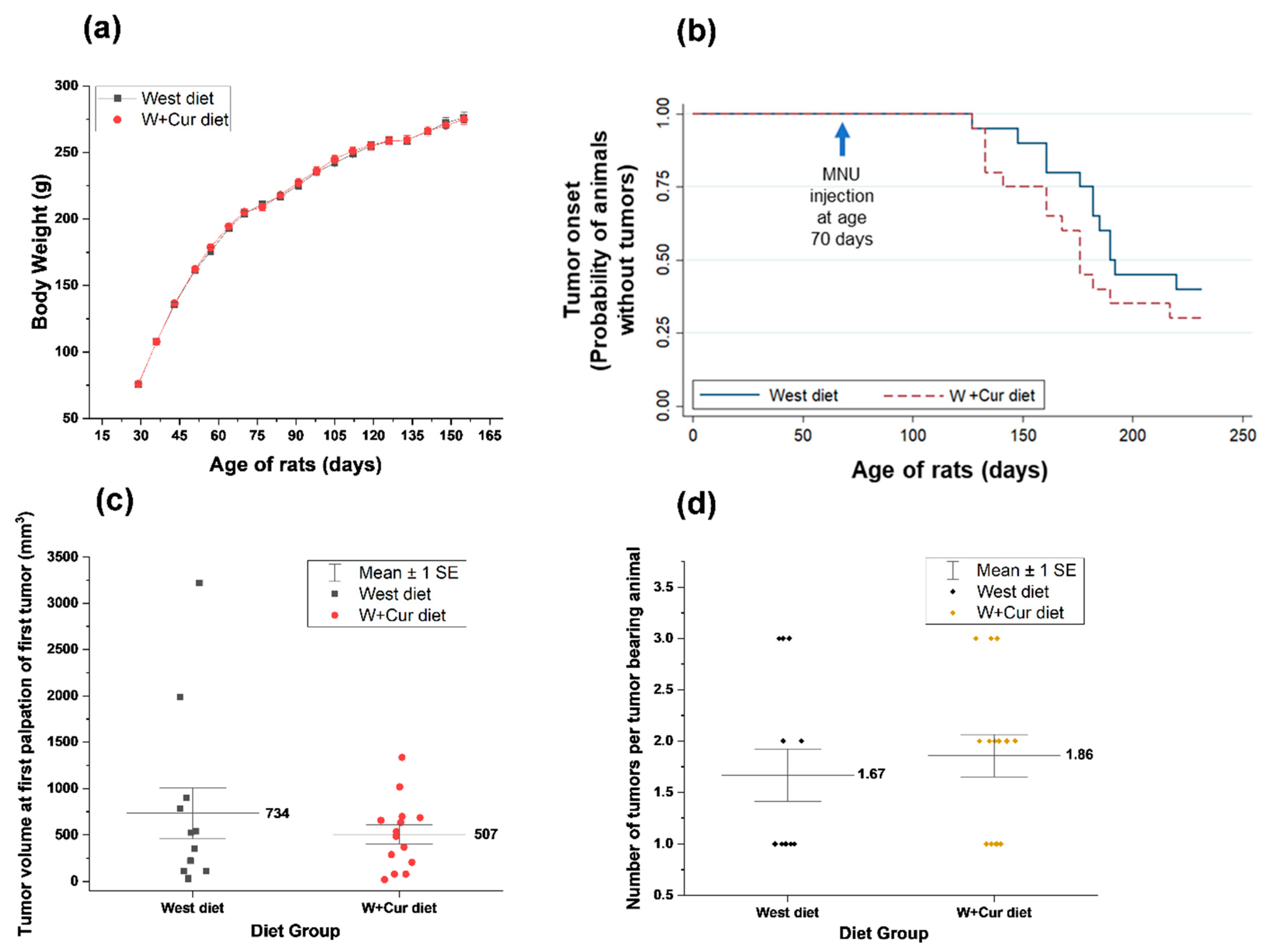 Biomedicines 08 00498 g002
