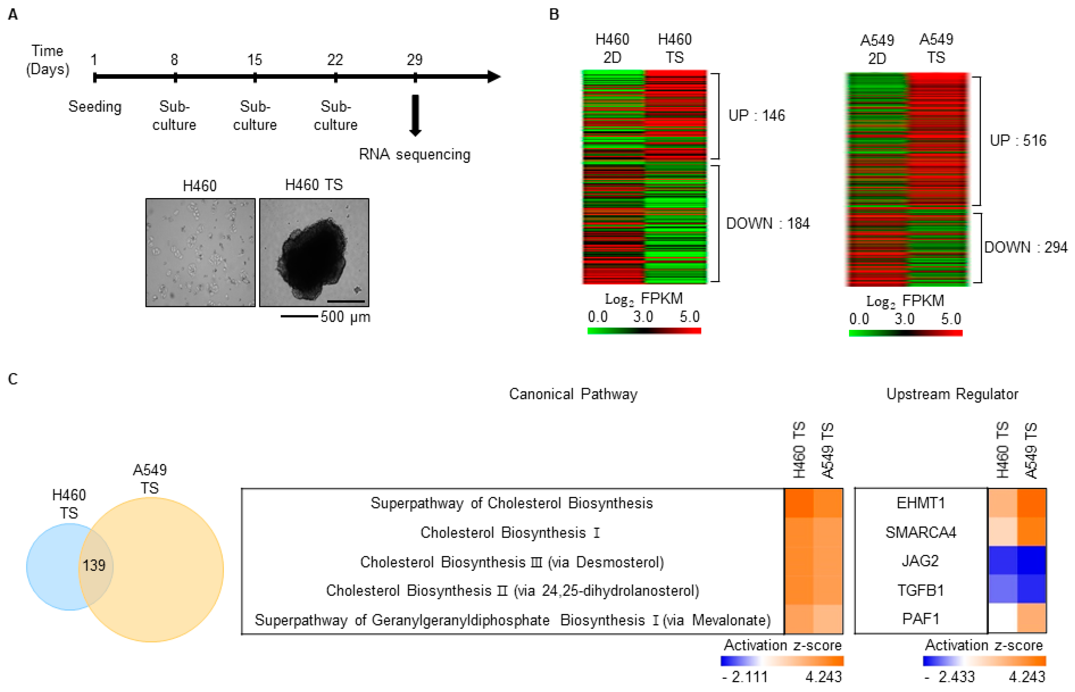 Biomedicines 08 00500 g002