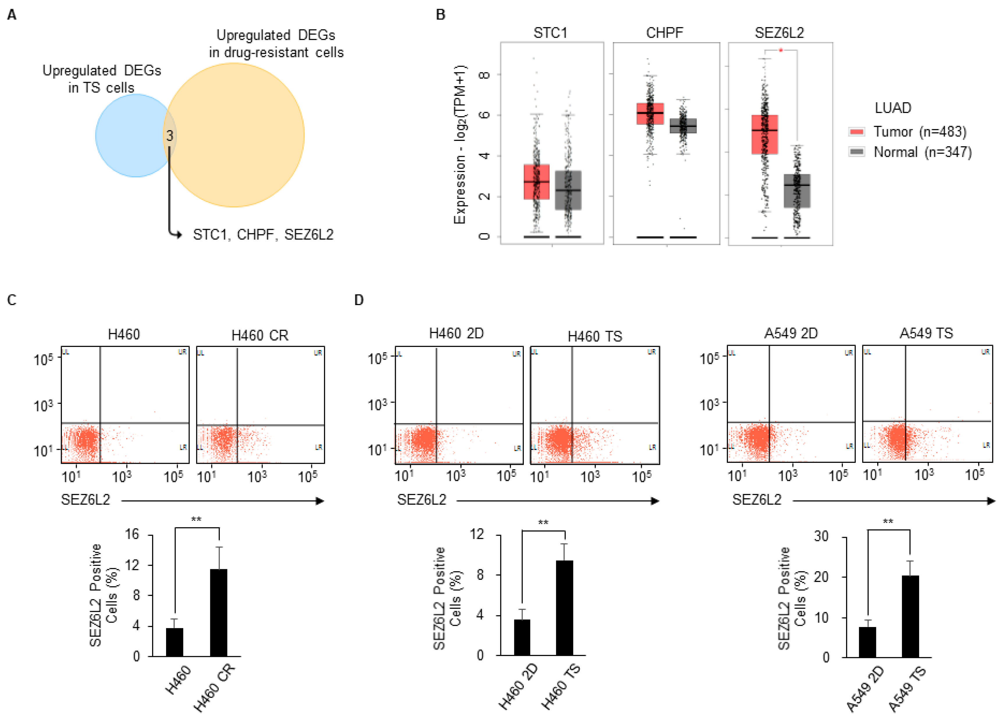 Biomedicines 08 00500 g003