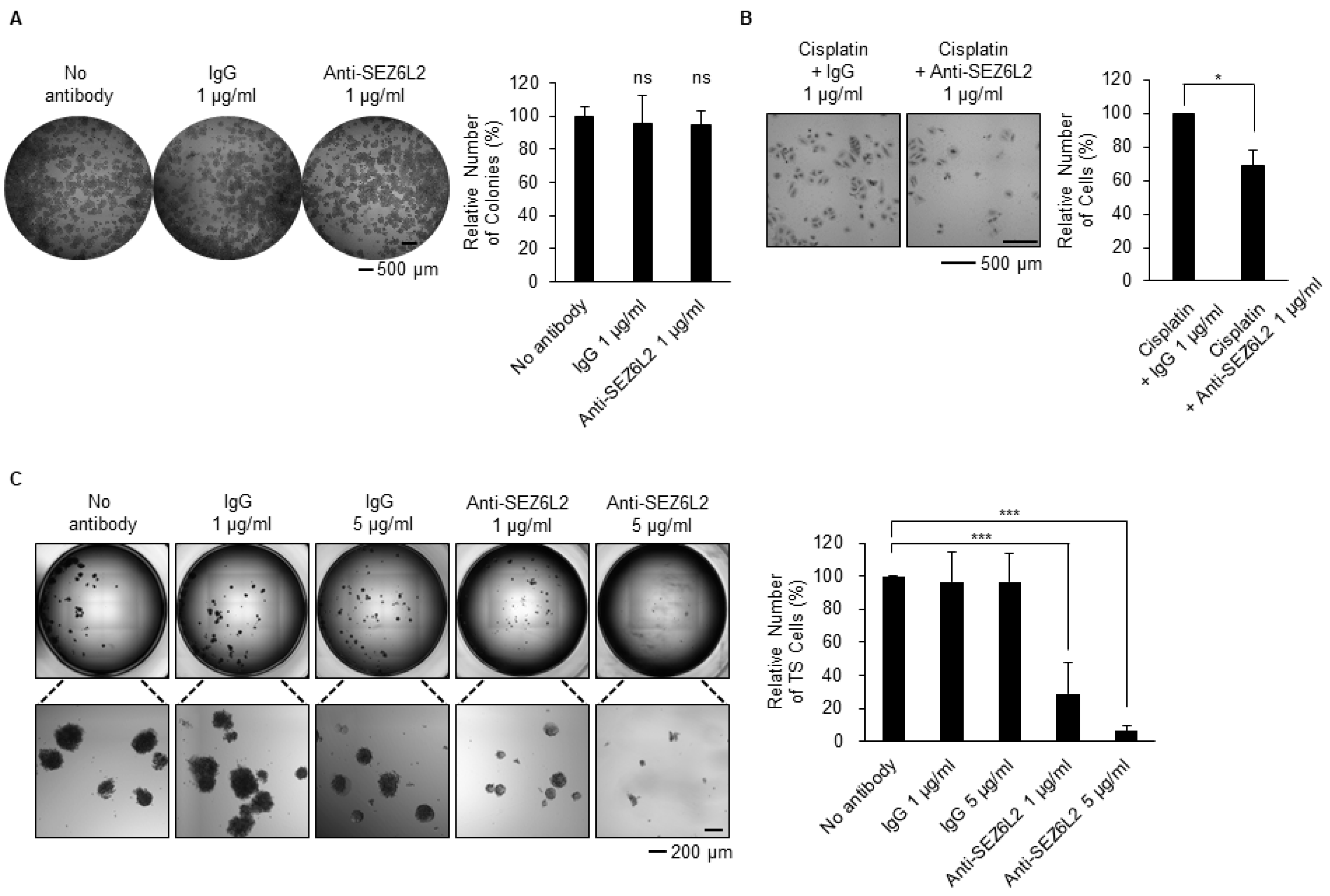 Biomedicines 08 00500 g004