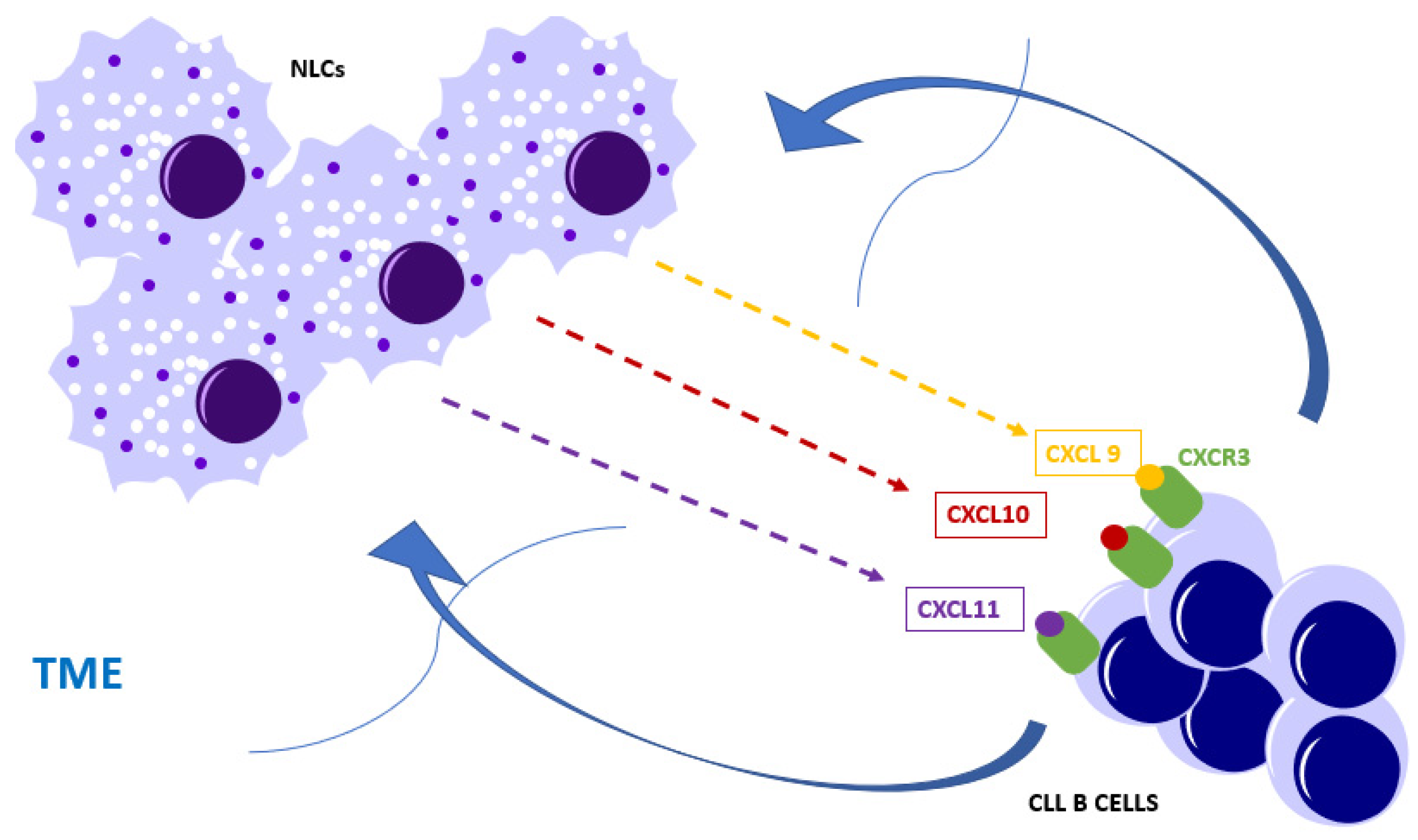 Biomedicines 08 00516 g002