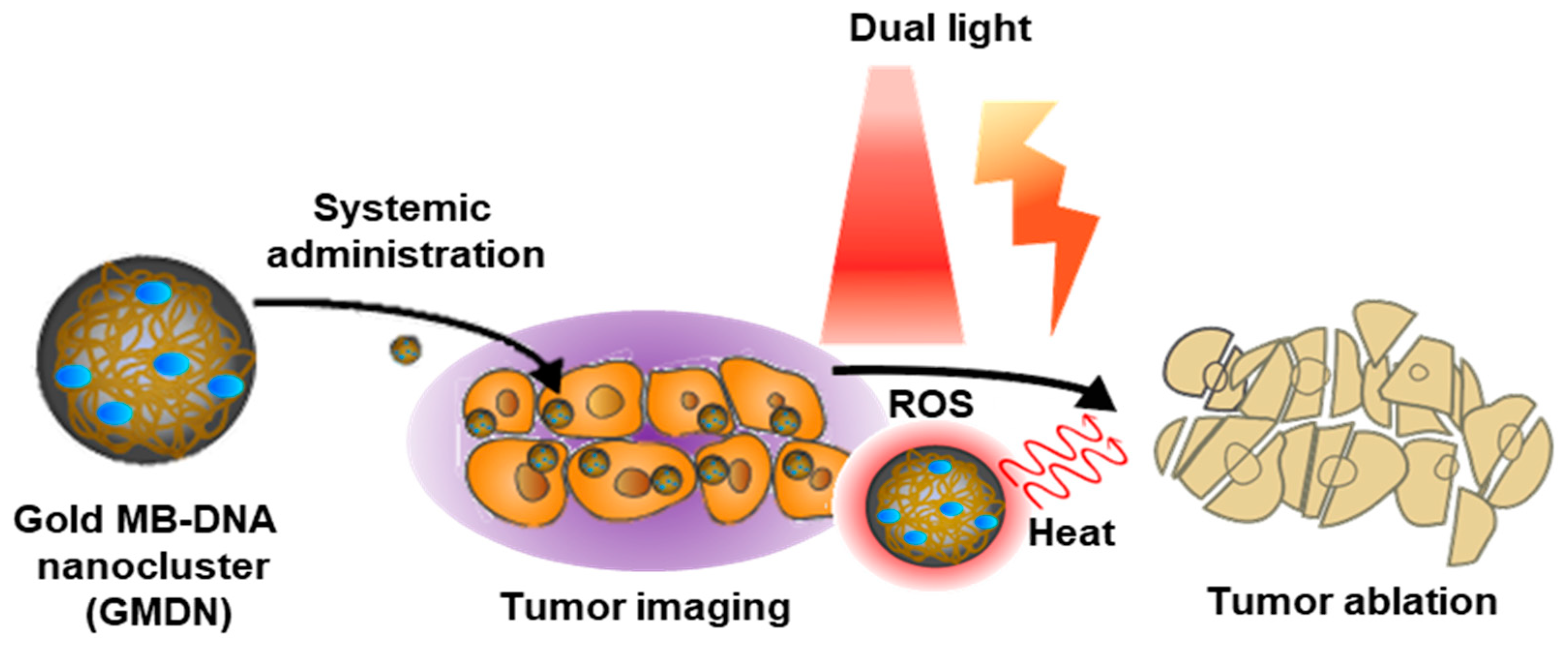 Biomedicines 08 00521 g001