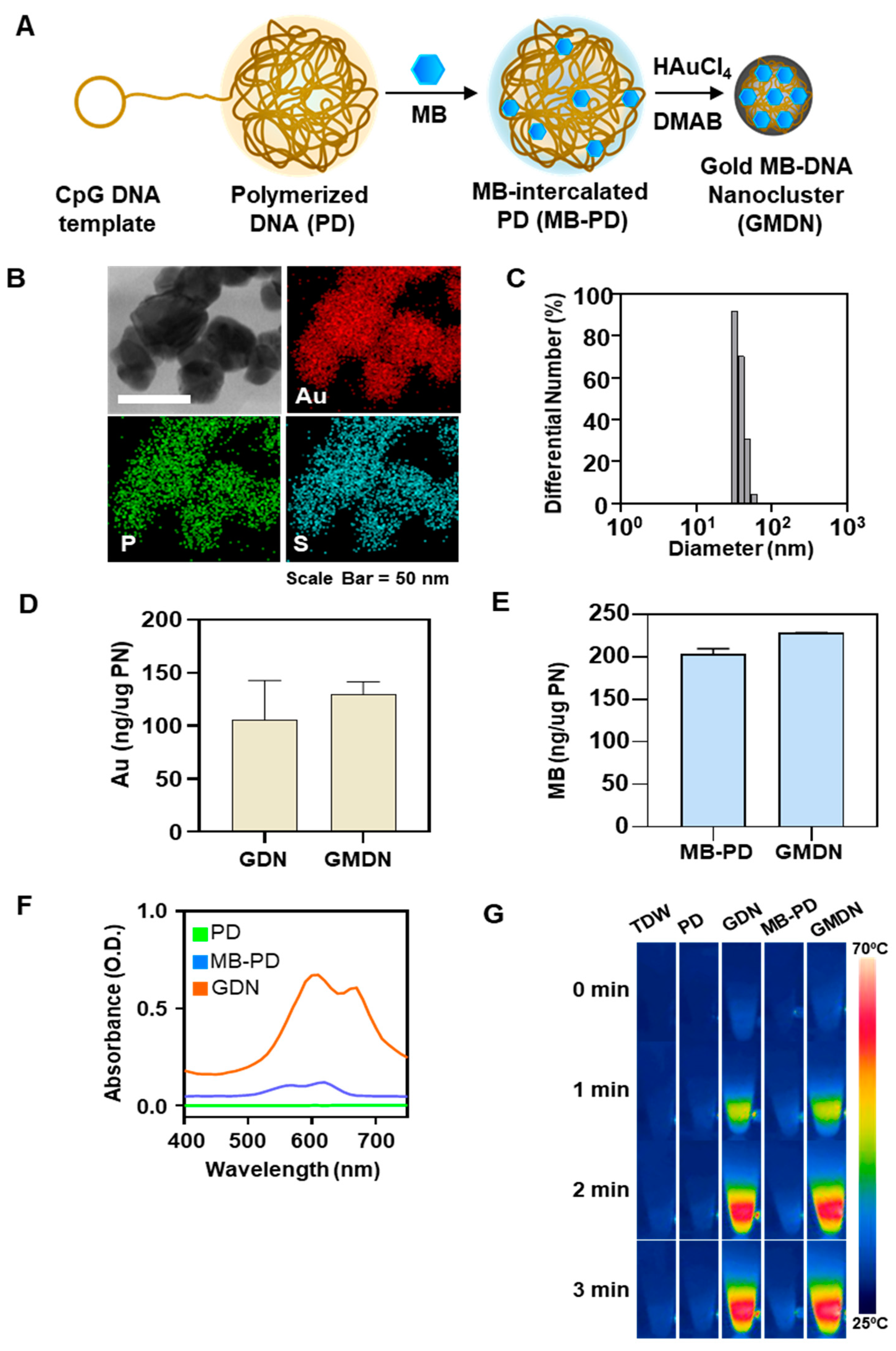 Biomedicines 08 00521 g002
