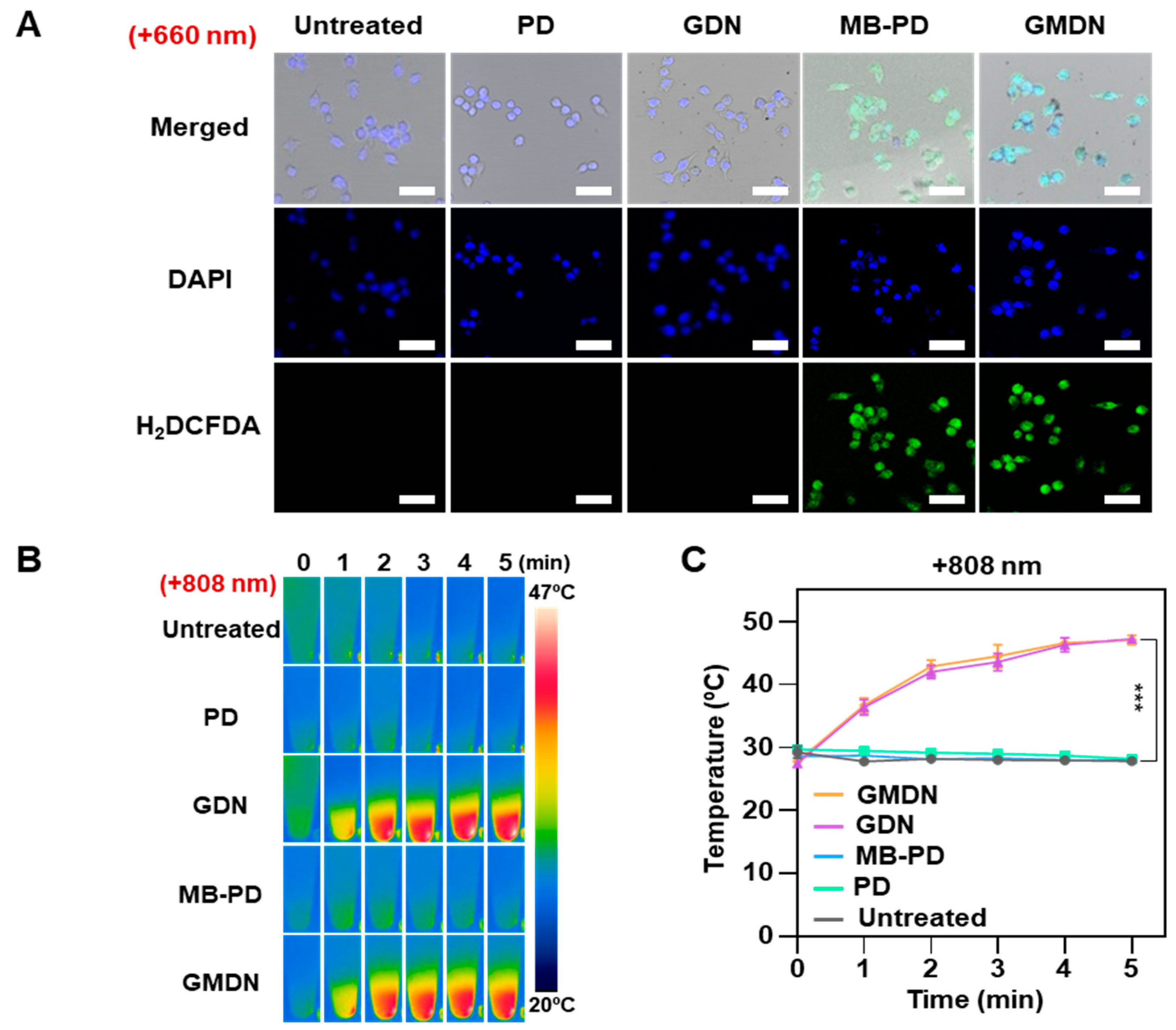 Biomedicines 08 00521 g004a