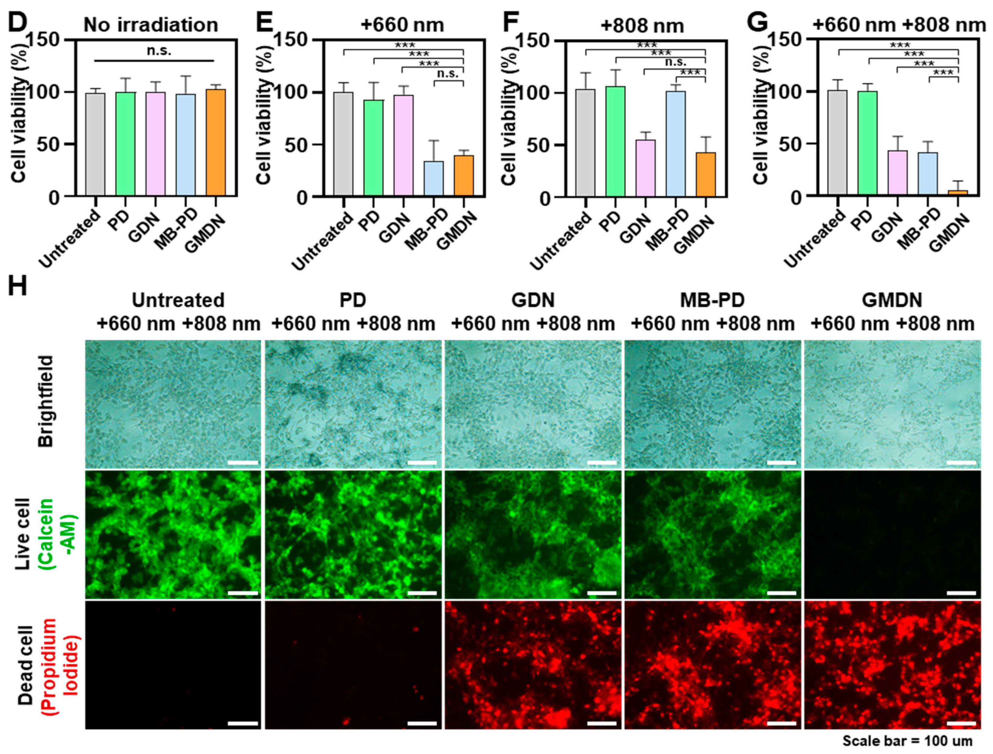 Biomedicines 08 00521 g004b