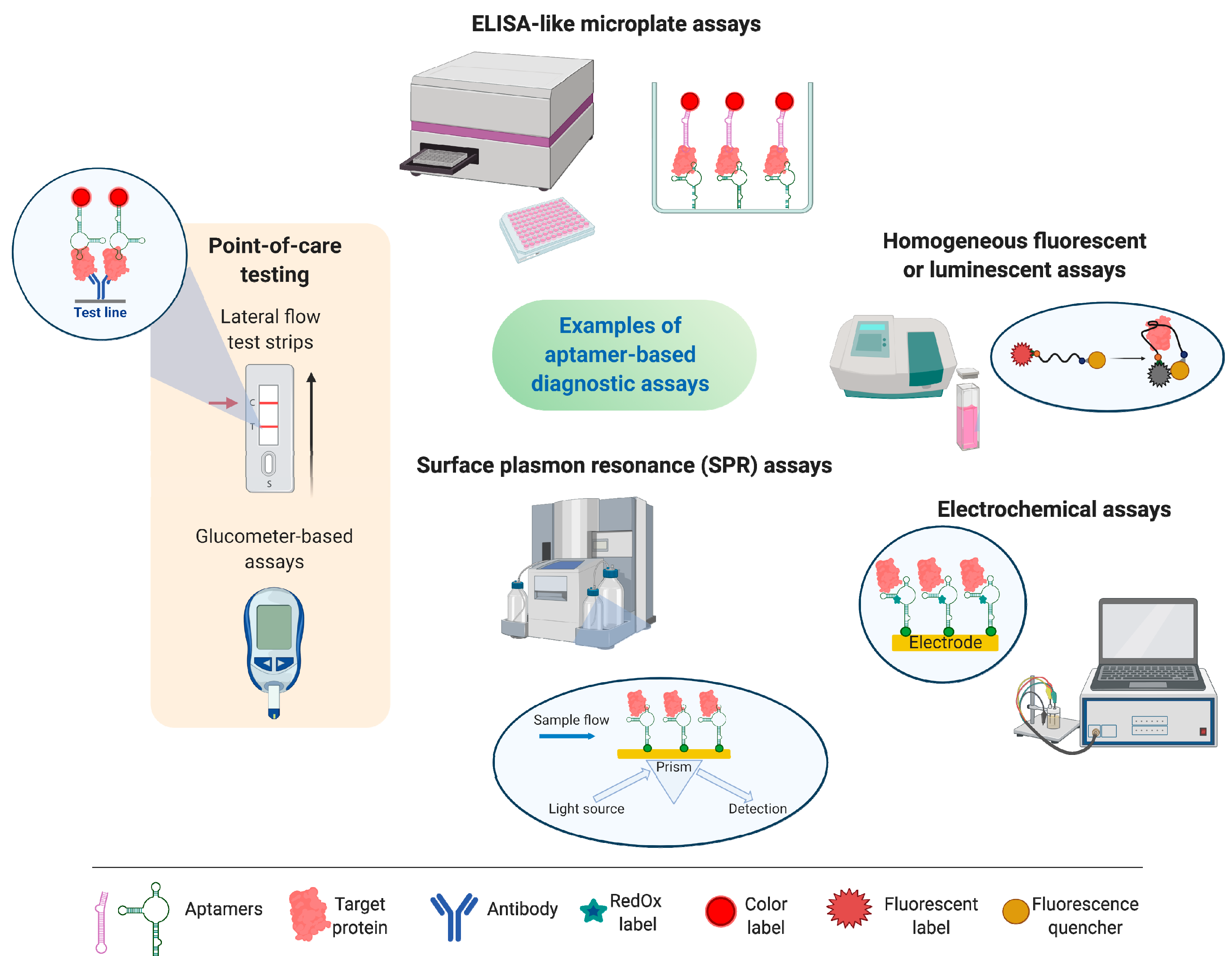 Biomedicines 08 00527 g004 Biomedicines 08 00527 g004