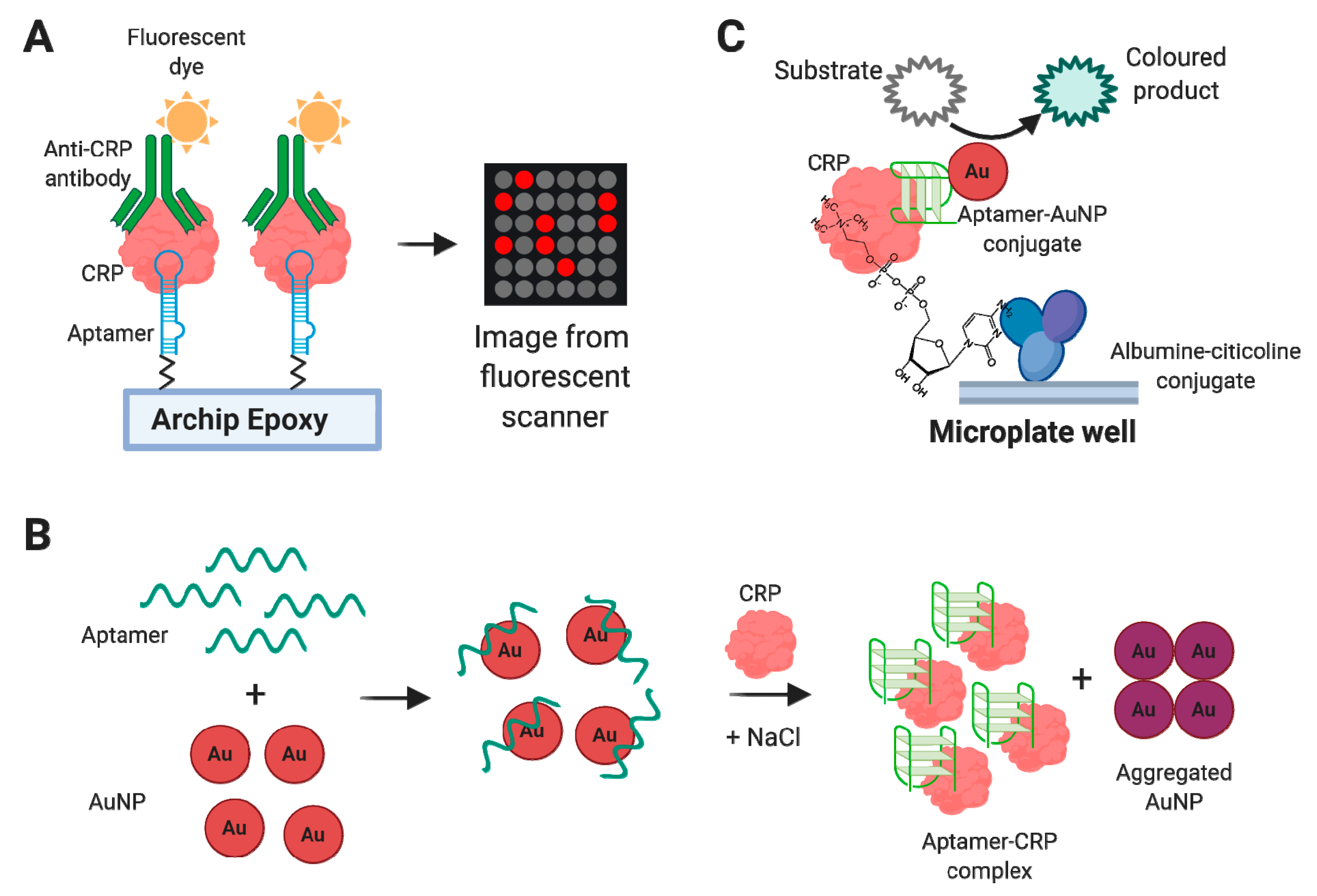 Biomedicines 08 00527 g005 Biomedicines 08 00527 g005