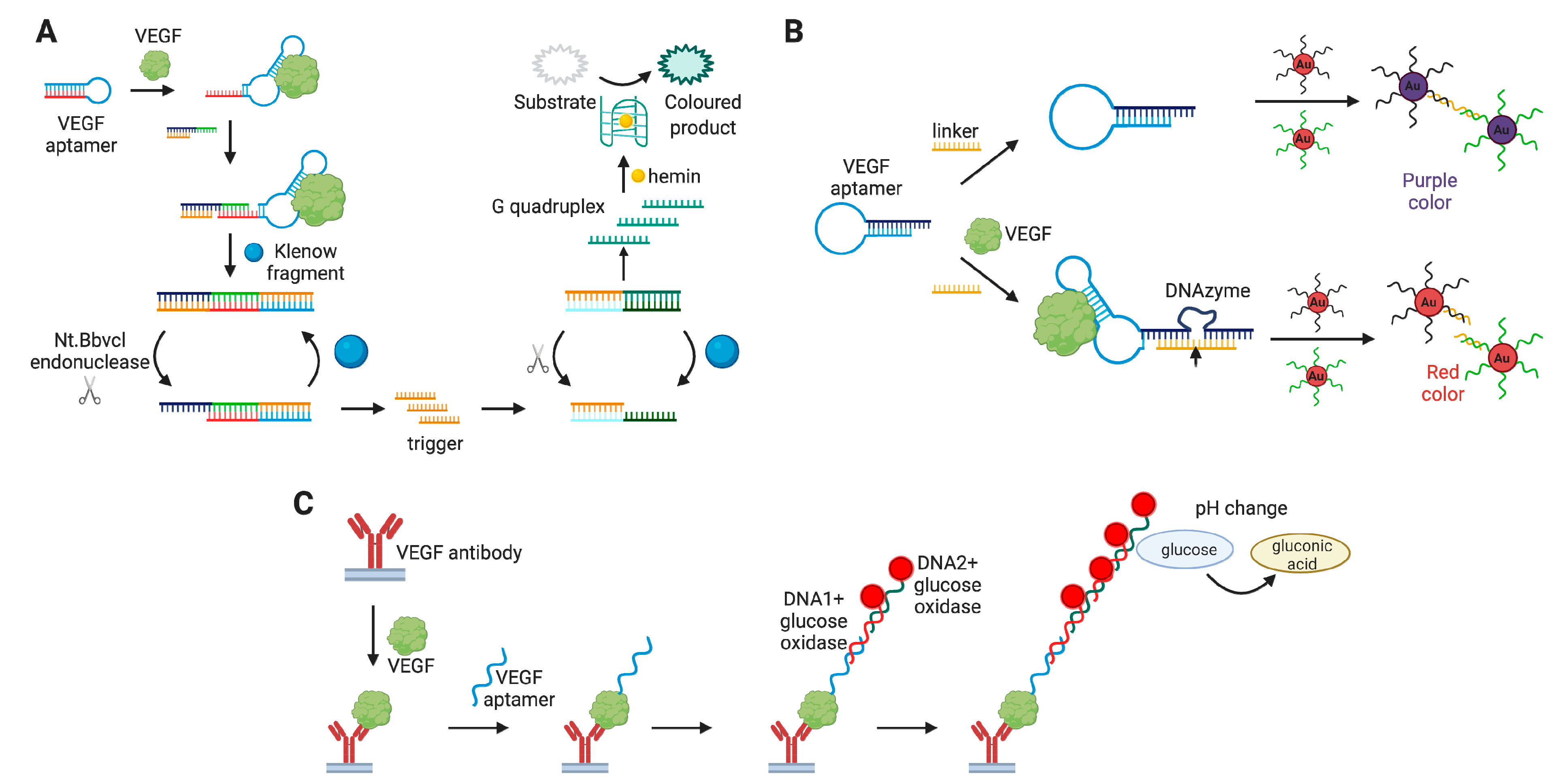 Biomedicines 08 00527 g007 Biomedicines 08 00527 g007