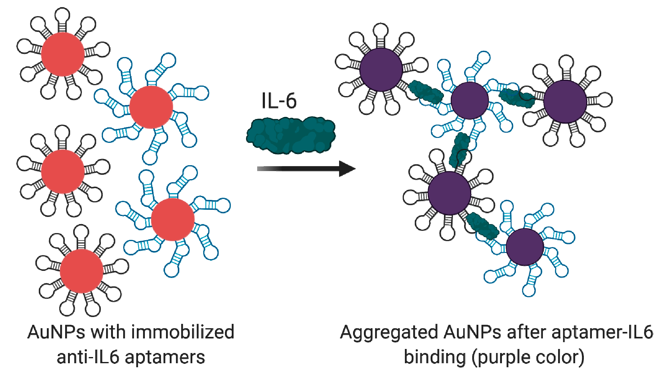 Biomedicines 08 00527 g008 Biomedicines 08 00527 g008