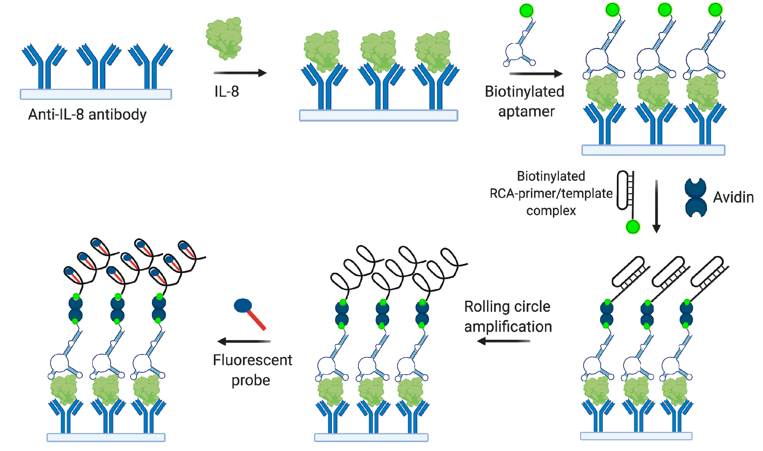 Biomedicines 08 00527 g009 Biomedicines 08 00527 g009